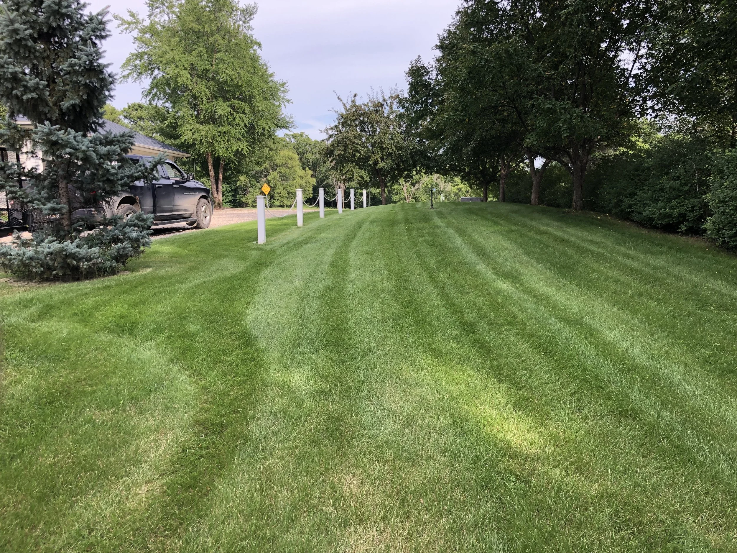 A well-maintained grassy lawn with alternating stripes in a residential yard, bordered by trees and a black pickup truck parked near a house.