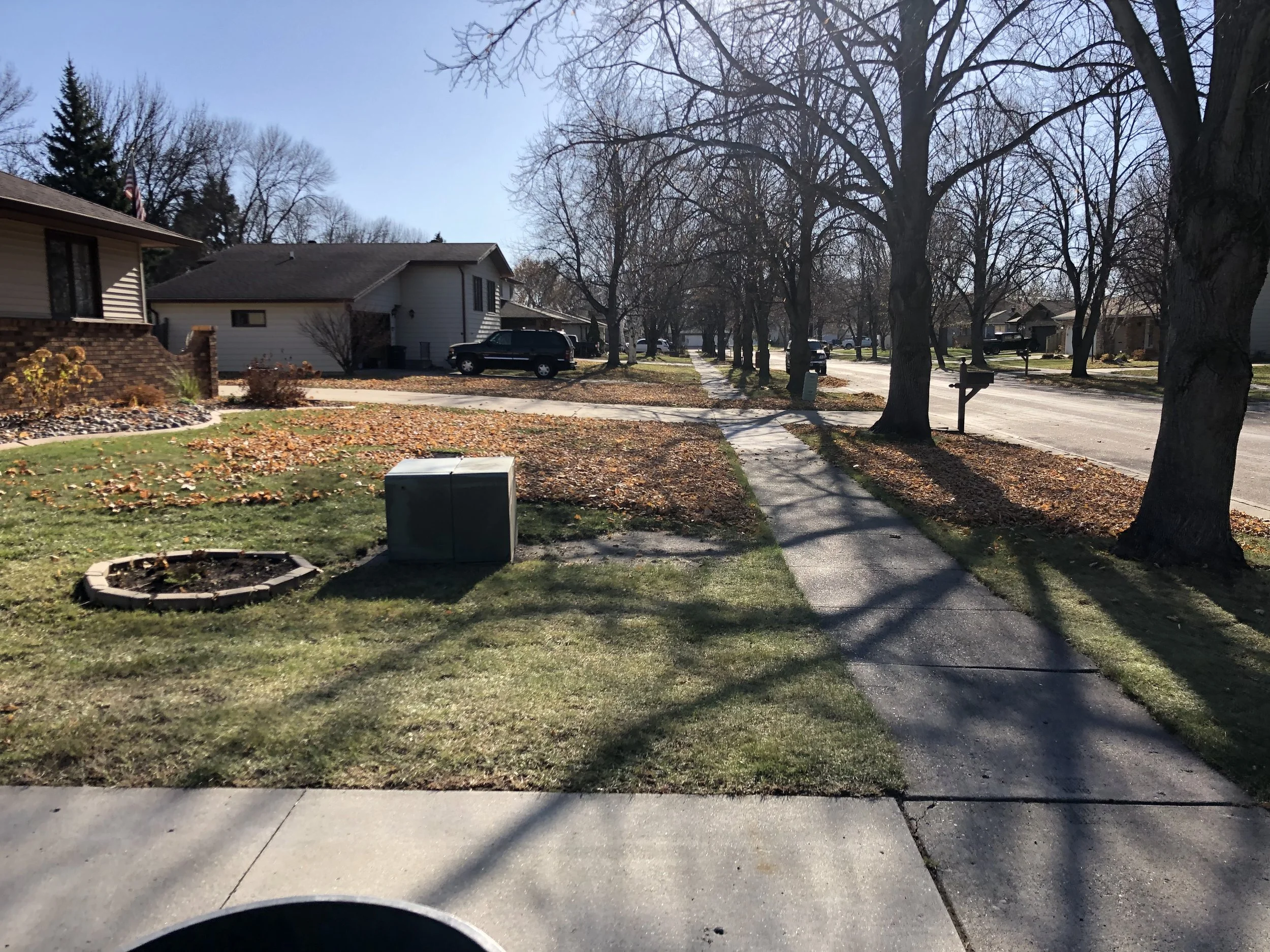 A suburban neighborhood with houses, leafless trees, and a sidewalk on a sunny autumn day. The grass is patchy with fallen leaves, and trash bins are placed along the street.