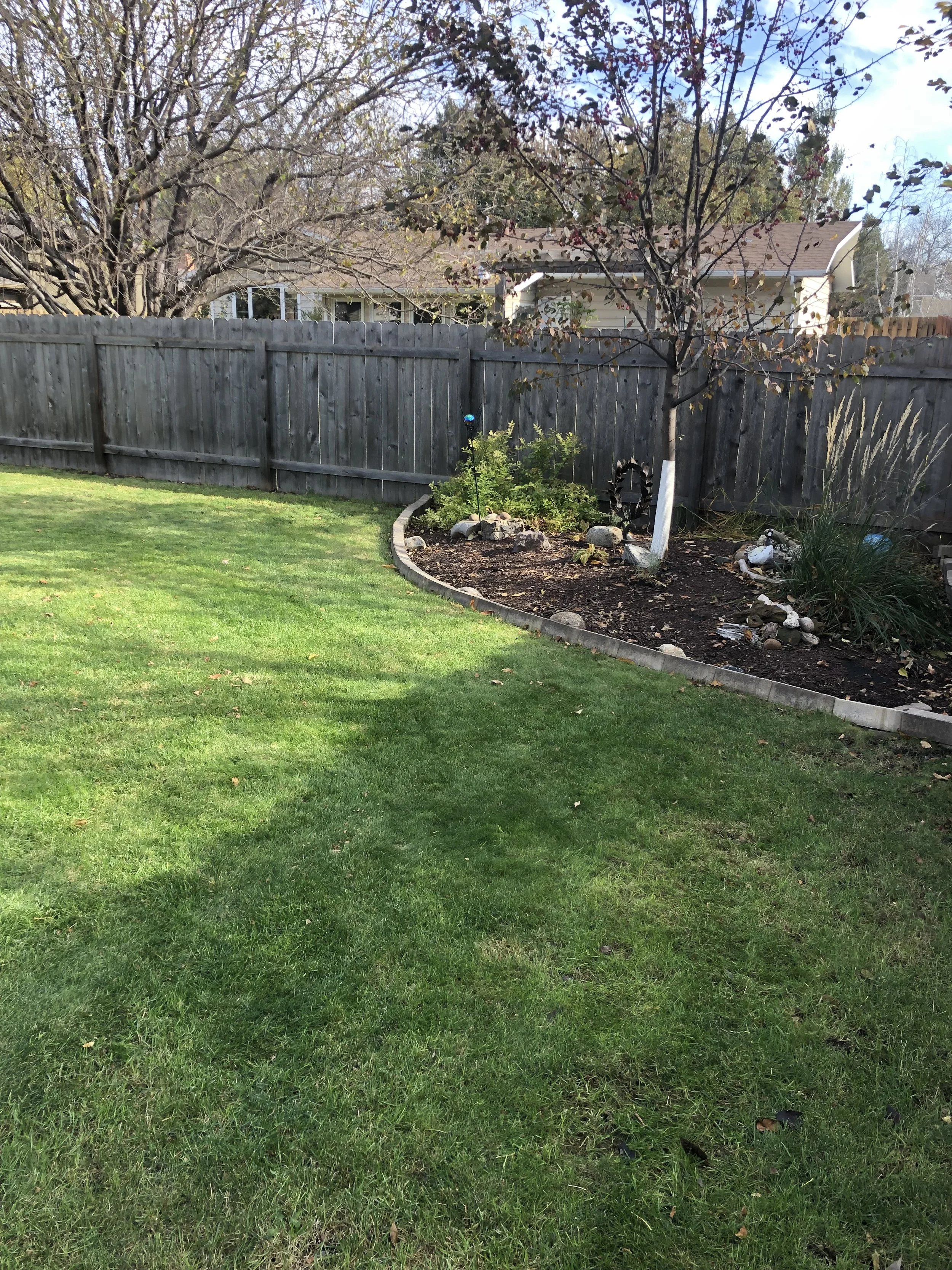A backyard with a grassy lawn, a flower bed with a tree, rocks, and plants, a wooden fence, a neighboring house in the background, and leafless trees showing a fall or winter season.