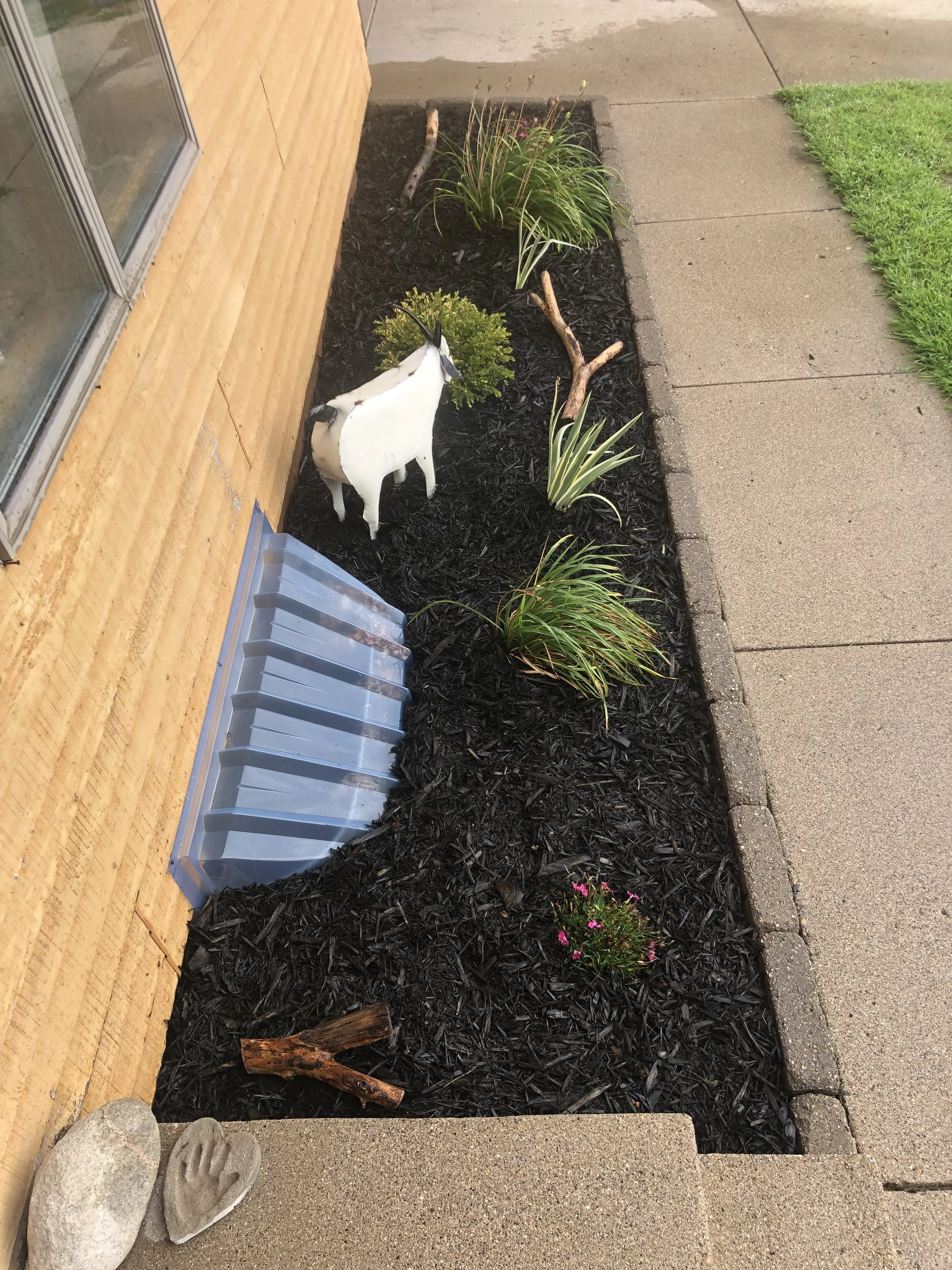 A garden with black mulch, a white goat figurine, green plants, pieces of driftwood, and a small pink flowering plant next to a concrete sidewalk and a brick wall.