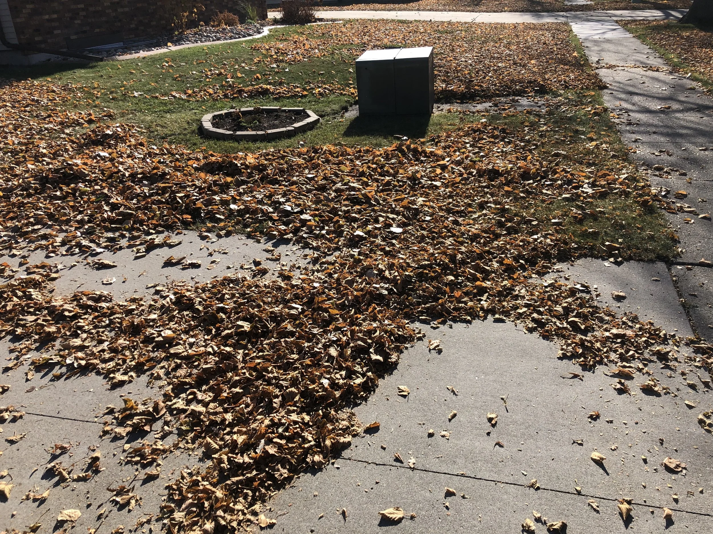 Leaf pile on sidewalk and lawn in front of house during fall