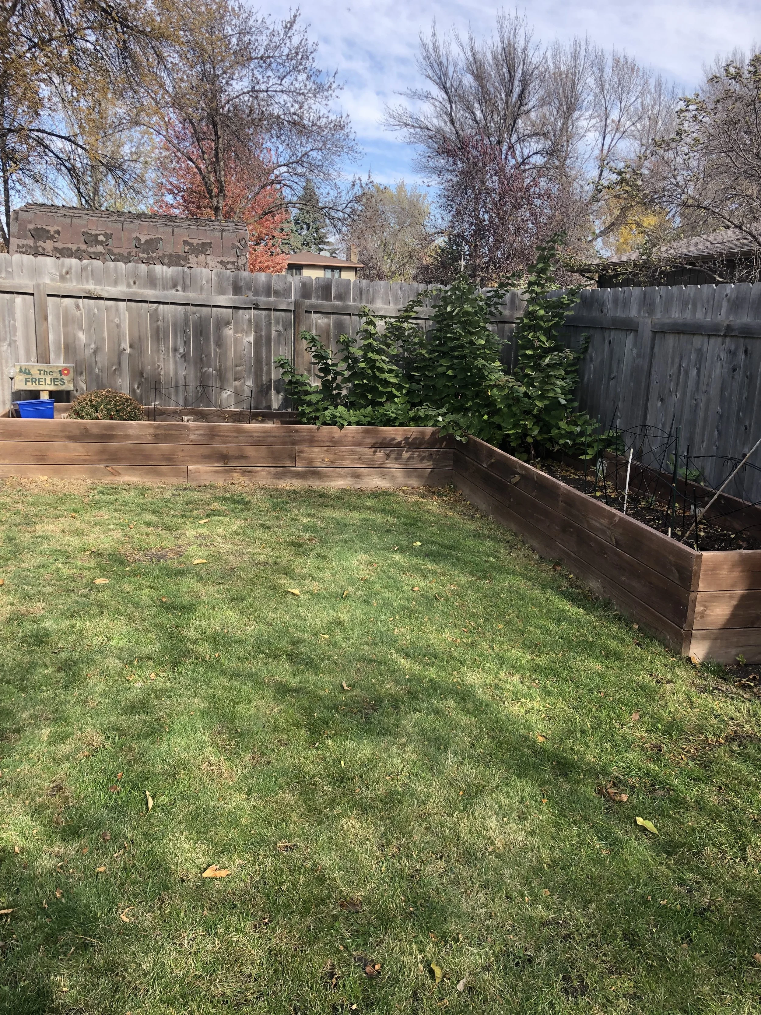 A backyard with a grassy lawn, wooden fencing, and garden beds with plants and shrubs, under a cloudy sky.