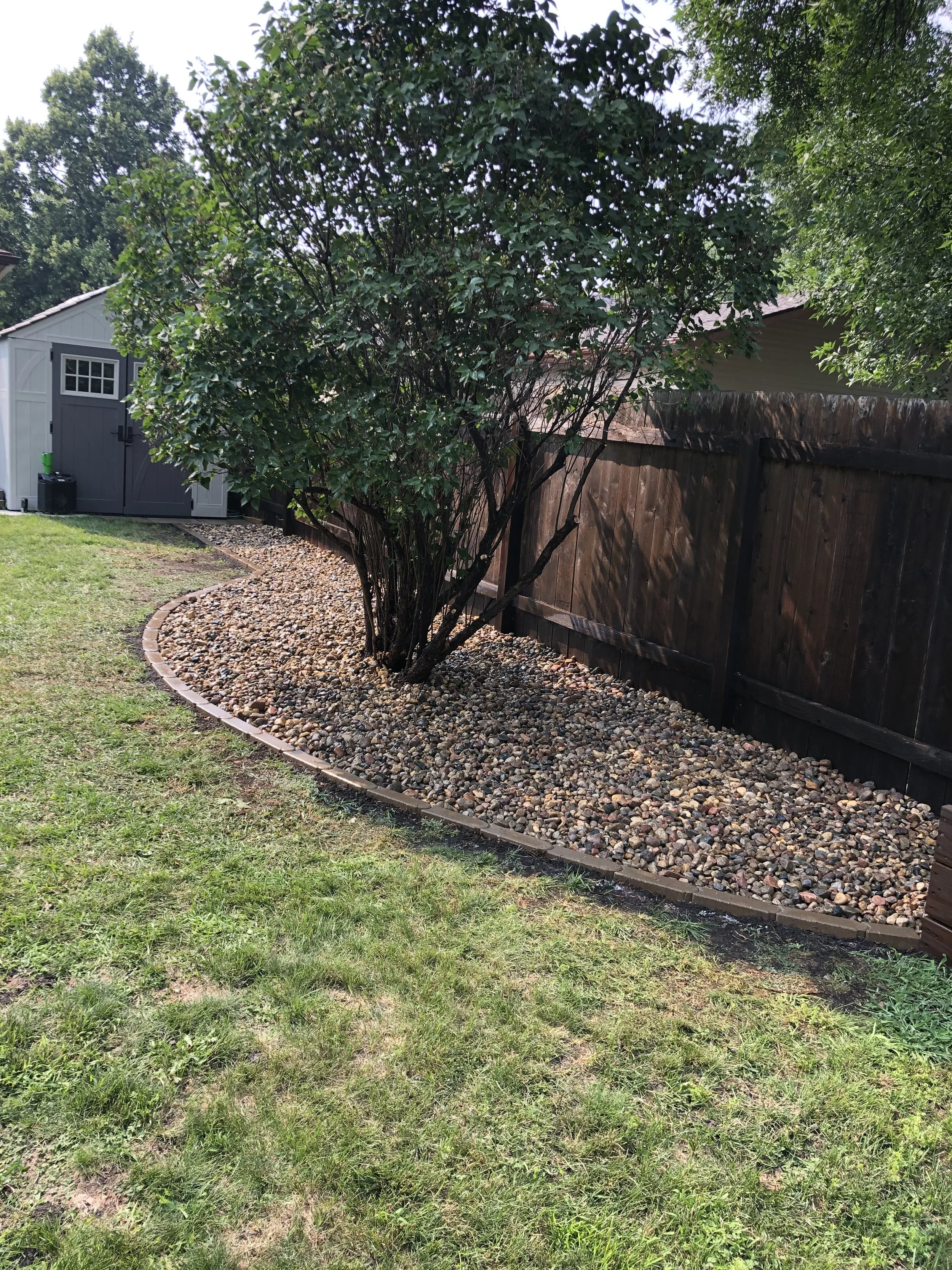 Backyard with a tree surrounded by a mulch bed with a brick border, wooden fence, and a shed in the background.