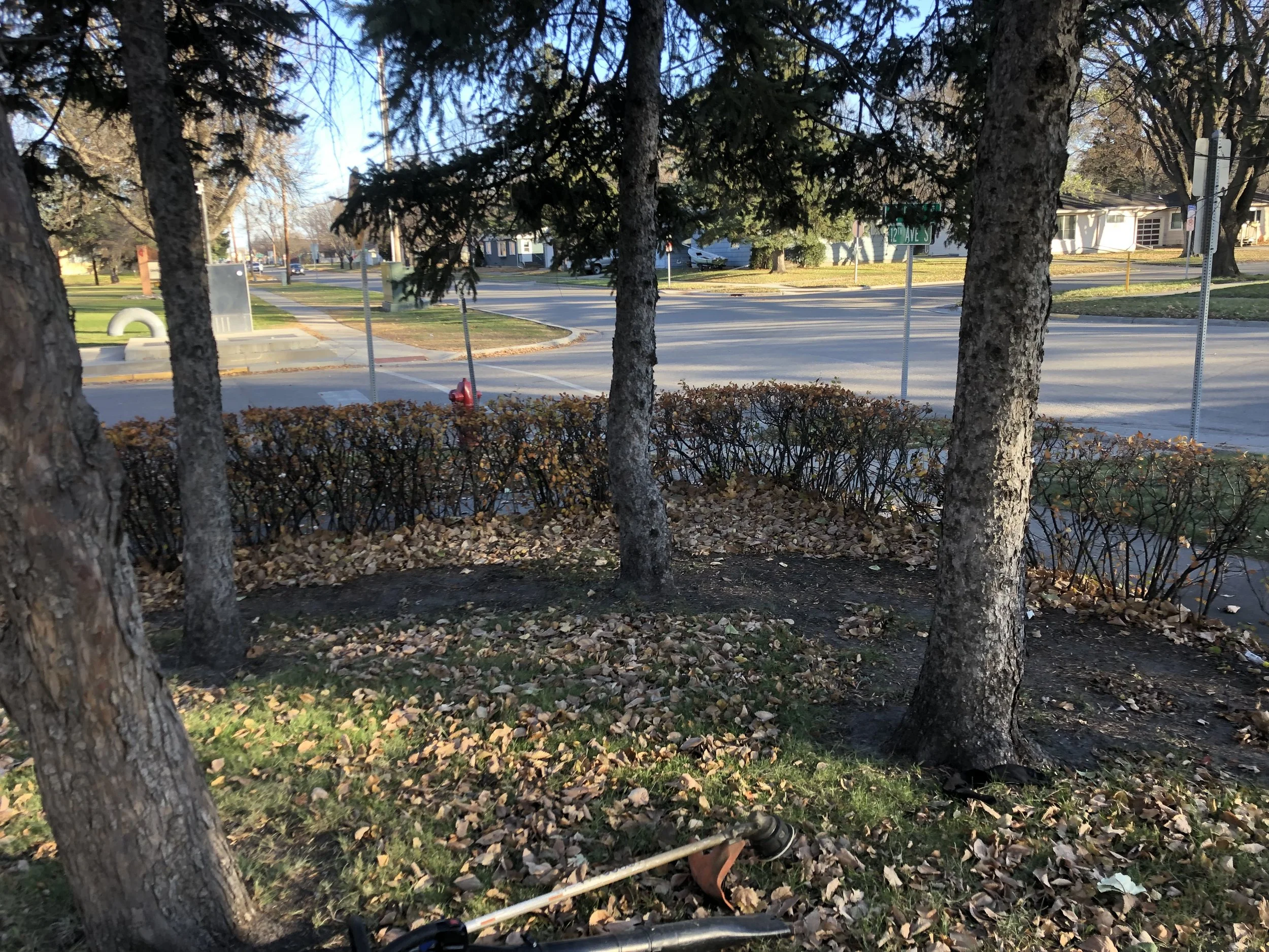Sidewalk with trees and bushes in a residential neighborhood, with sunlight and fallen leaves on the ground, street signs indicating 12th Avenue S and 10th Avenue S, and a black and orange leaf blower in the foreground.