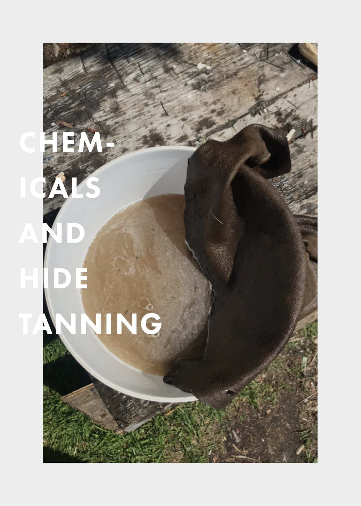 CHEMICALS AND HIDE TANNING