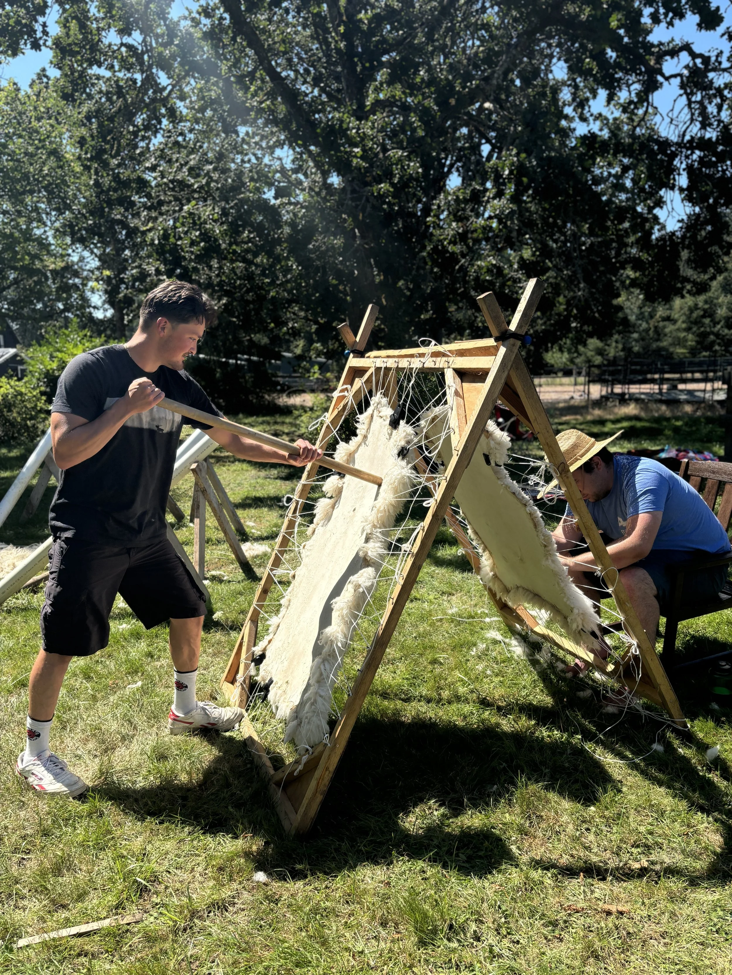 Softening sheepskin rugs for hide tanning