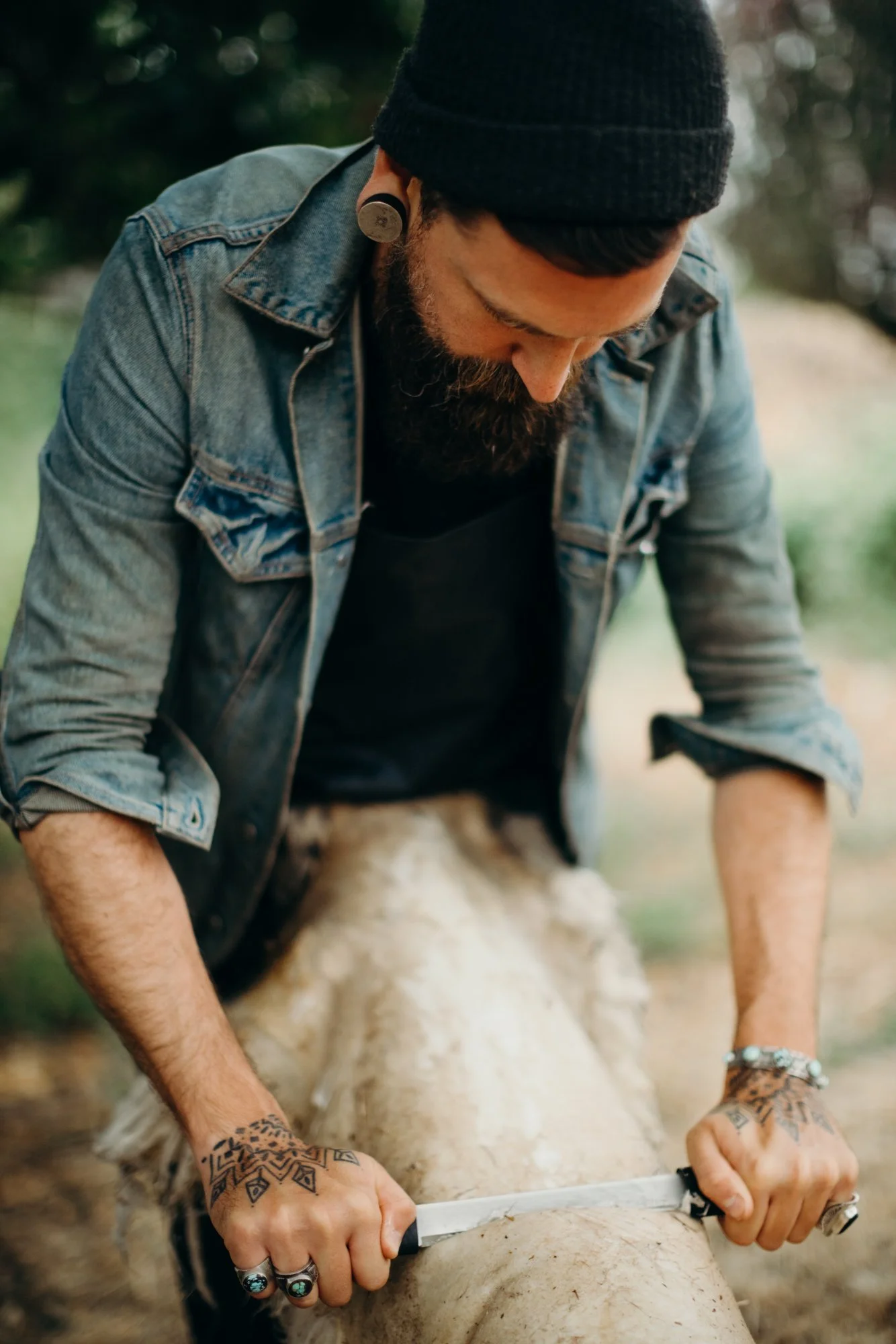 Scraping sheepskin rug for hide tanning