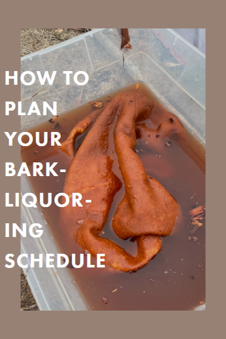 HOW TO PLAN YOUR BARK-LIQUORING SCHEDULE