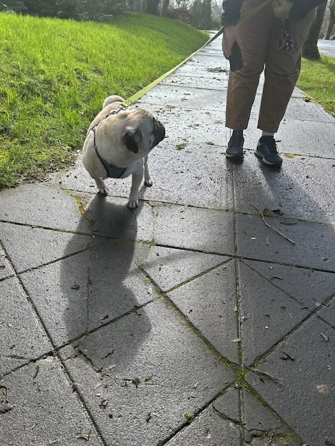 Walk 6.jpeg