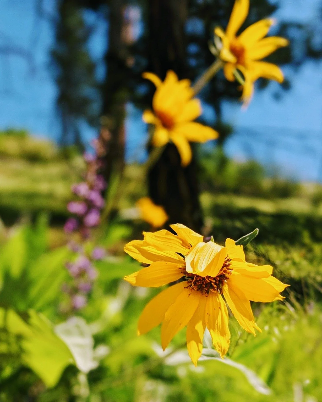 ☀️ Summer in Leavenworth is magic. From mountain peaks to river bends, we&rsquo;re lucky to call this little alpine town home 🏞️

Whether you&rsquo;re hiking, camping, river tubing&mdash;or just soaking up the sunshine&mdash;we wanna know:

What&rsq