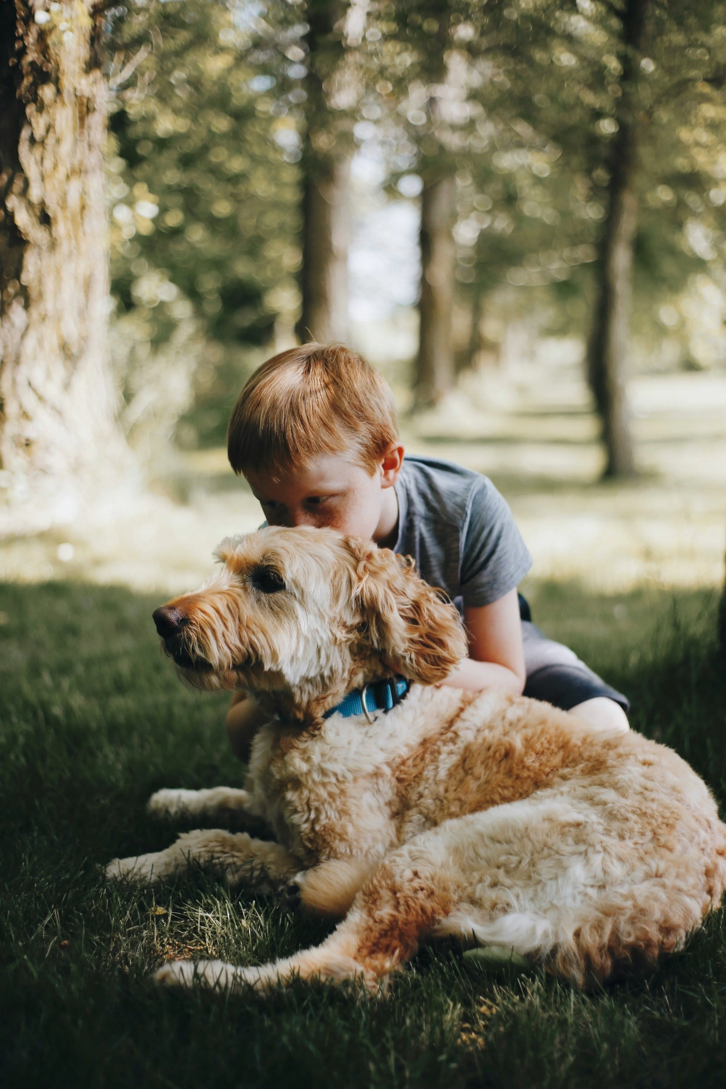 Helping Kids and Dogs Build a Great Relationship