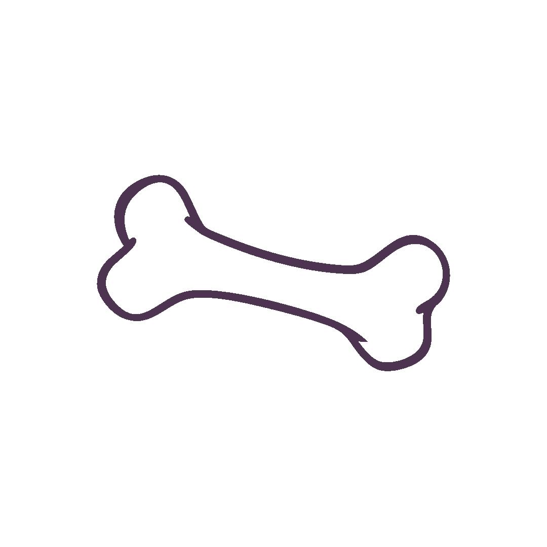 Line drawing of a dog bone.