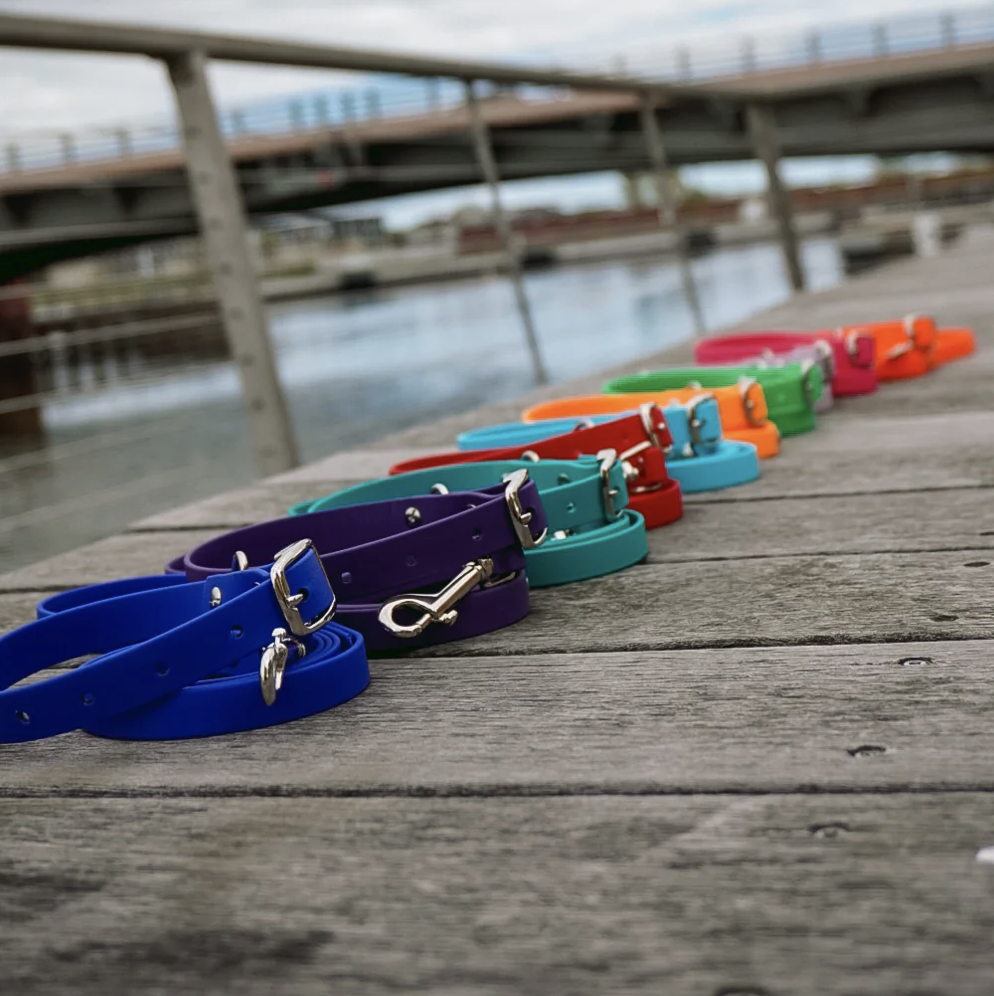 Colorful dog collars arranged in a row on a wooden dock near water, with a bridge in the background.