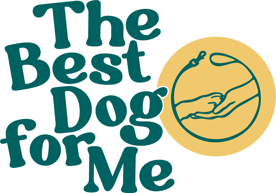 The Best Dog for Me