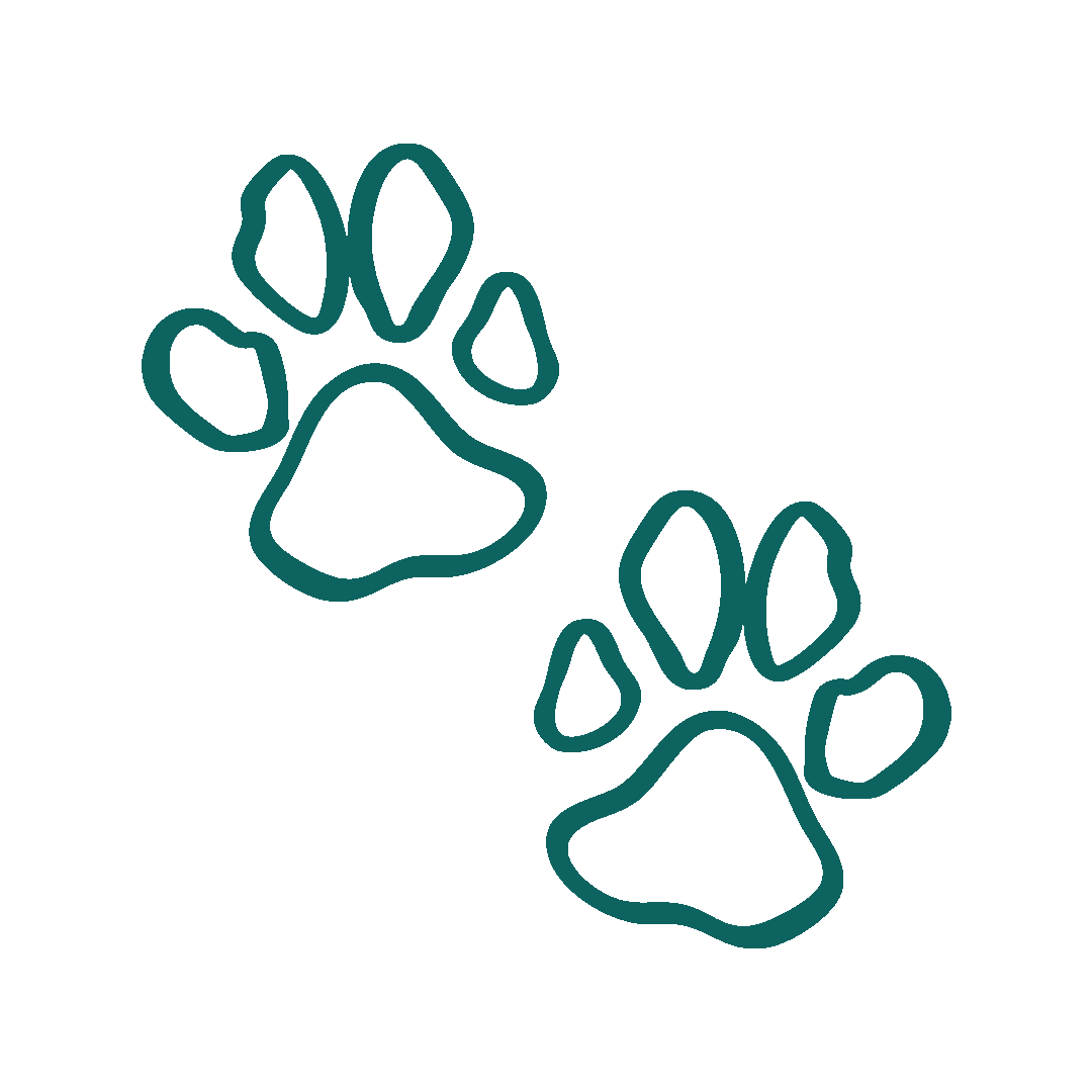 Outline of two dog paw prints side by side.