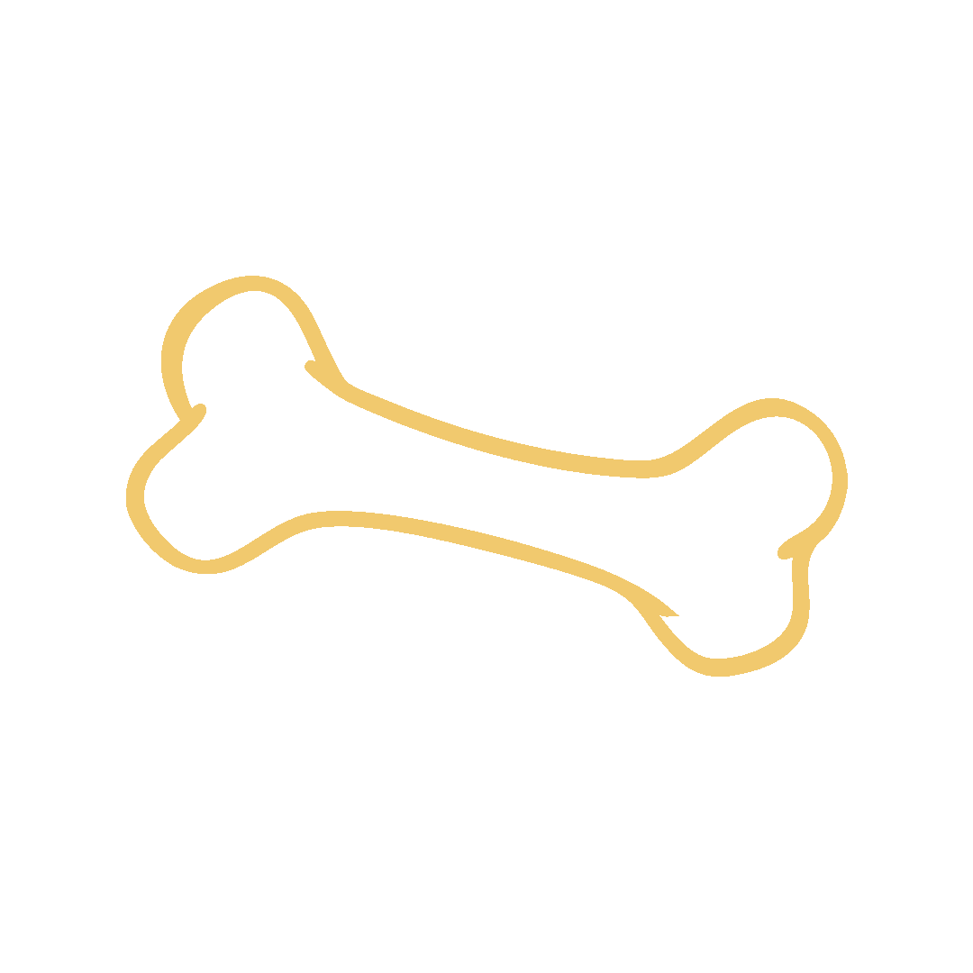Outline of a dog bone in gold color on a black background.