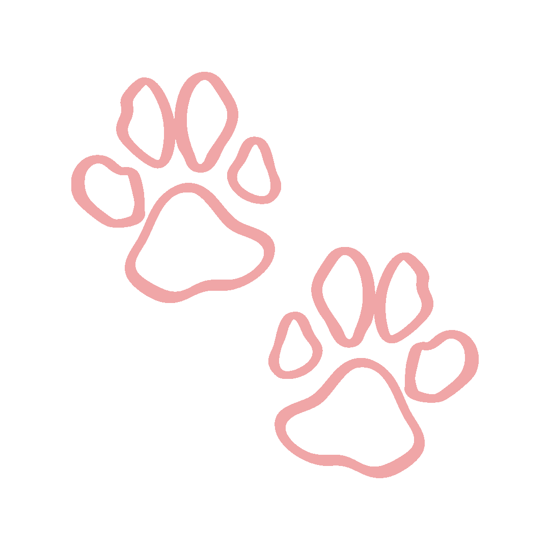 Outline of two pink paw prints, one larger and one smaller, on a transparent background.