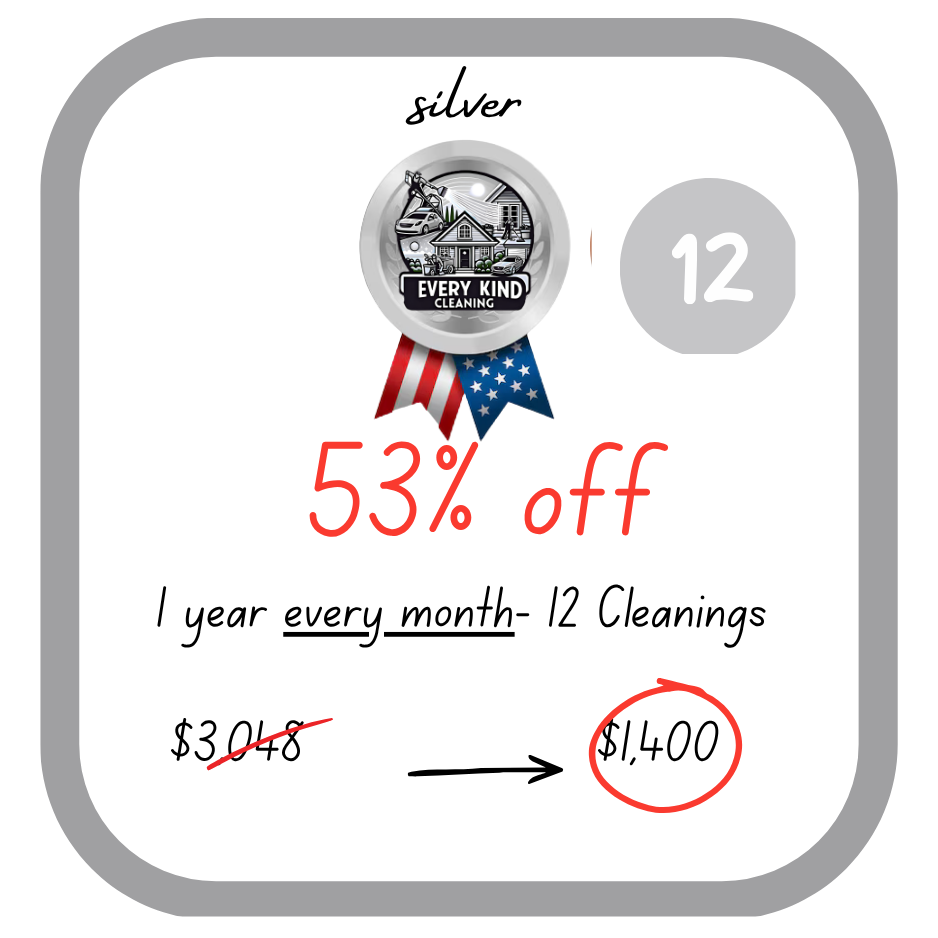 Car Detailing: Silver: 12 Cleanings