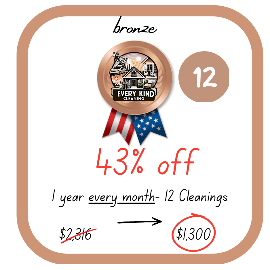 Car Detailing: Bronze: 12 Cleanings