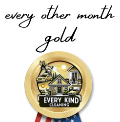 Gold 6 Cleanings- every other month- 56% off