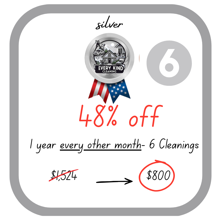 Car Detailing: Silver: 6 Cleanings