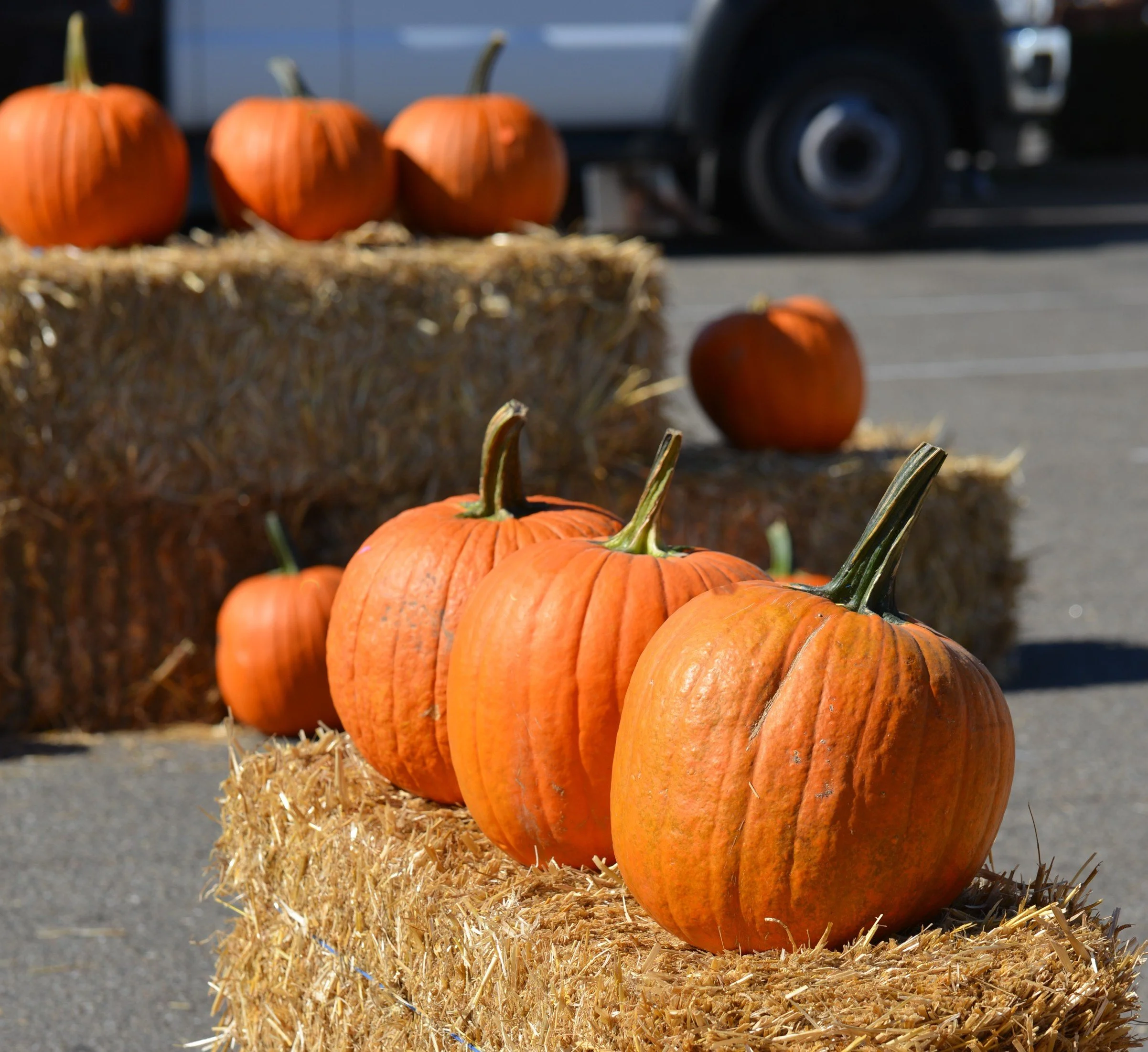Golden State Family Farms Pumpkin Patch 
