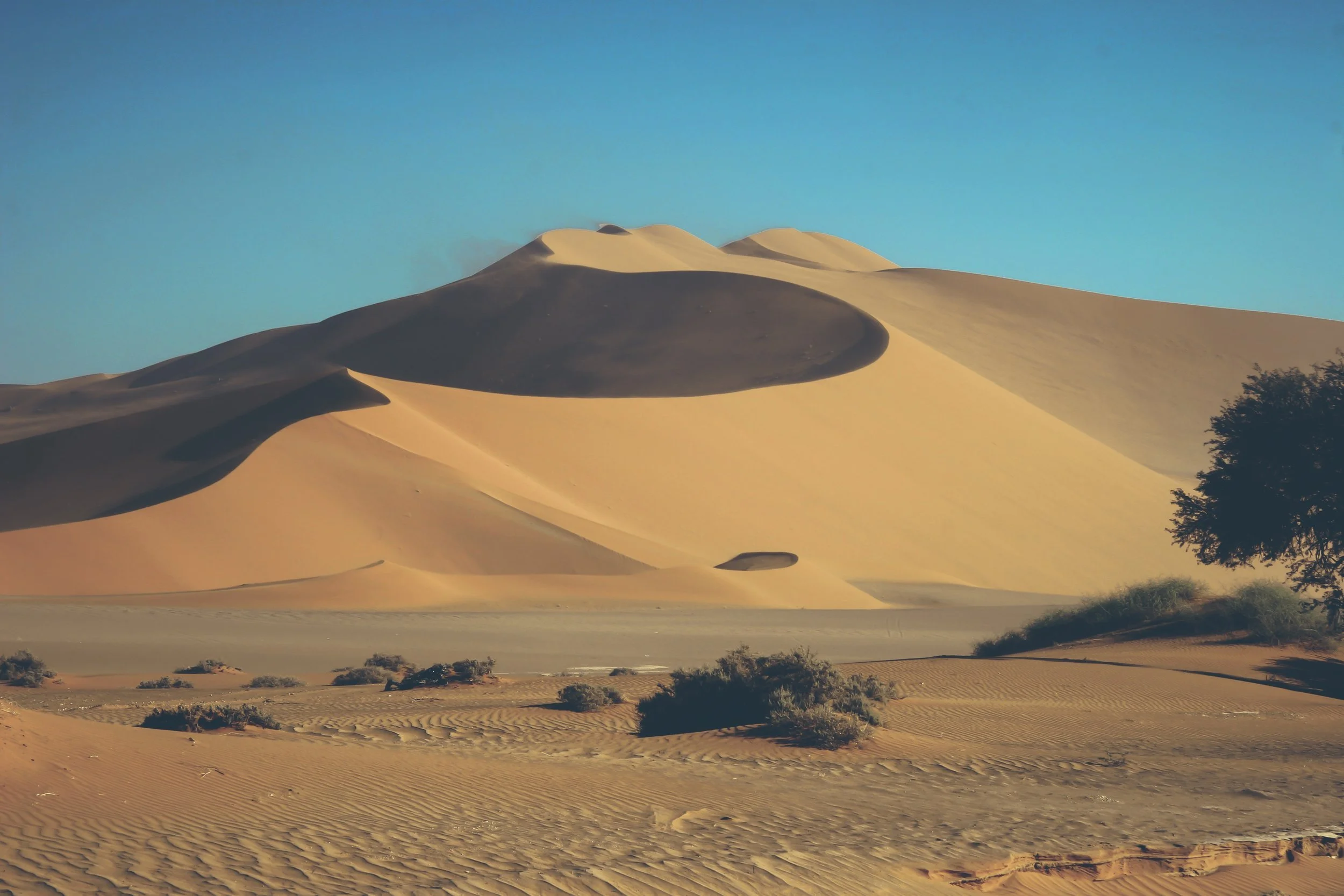 Sand dunes in a desert with sparse vegetation under a clear blue sky.