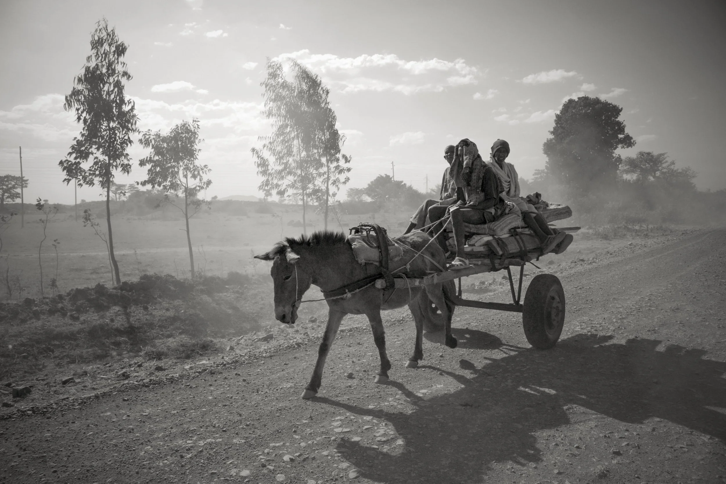 A group of people riding in a wooden cart pulled by a donkey on a dirt road, with trees and cloudy sky in the background.