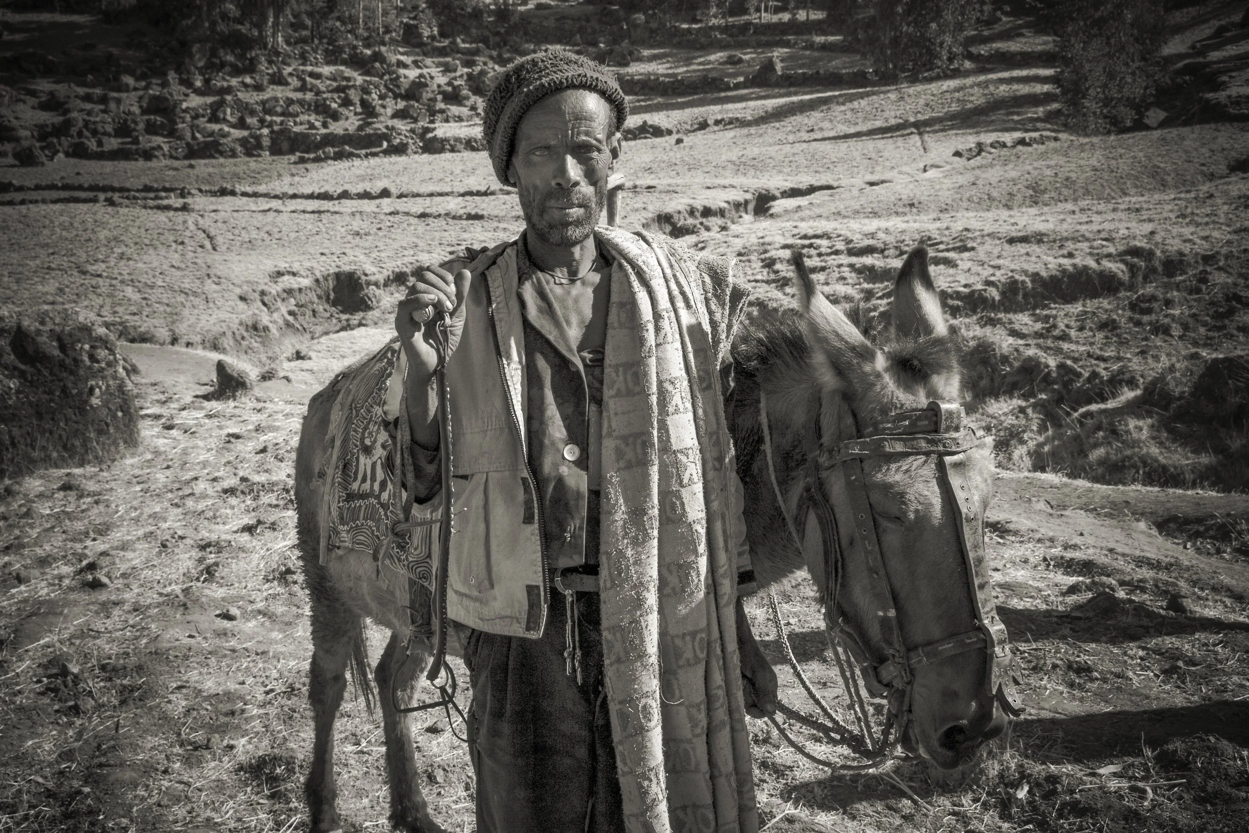 A man with a beard and wearing a knit cap holding a walking stick, standing next to a donkey with a bridle, in a rural landscape.
