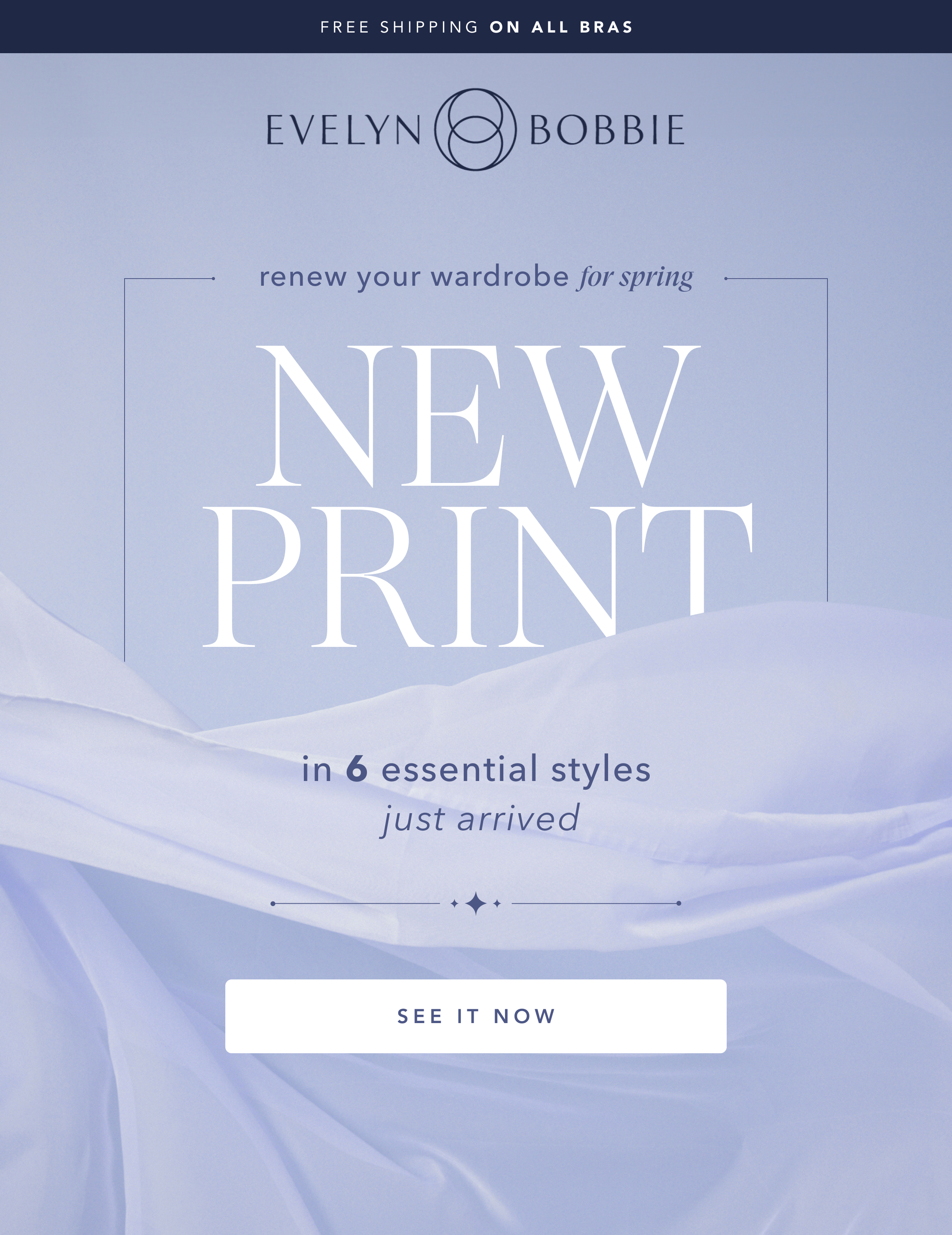 4-4 Email Design Moonstone Lace Launch V2.webp