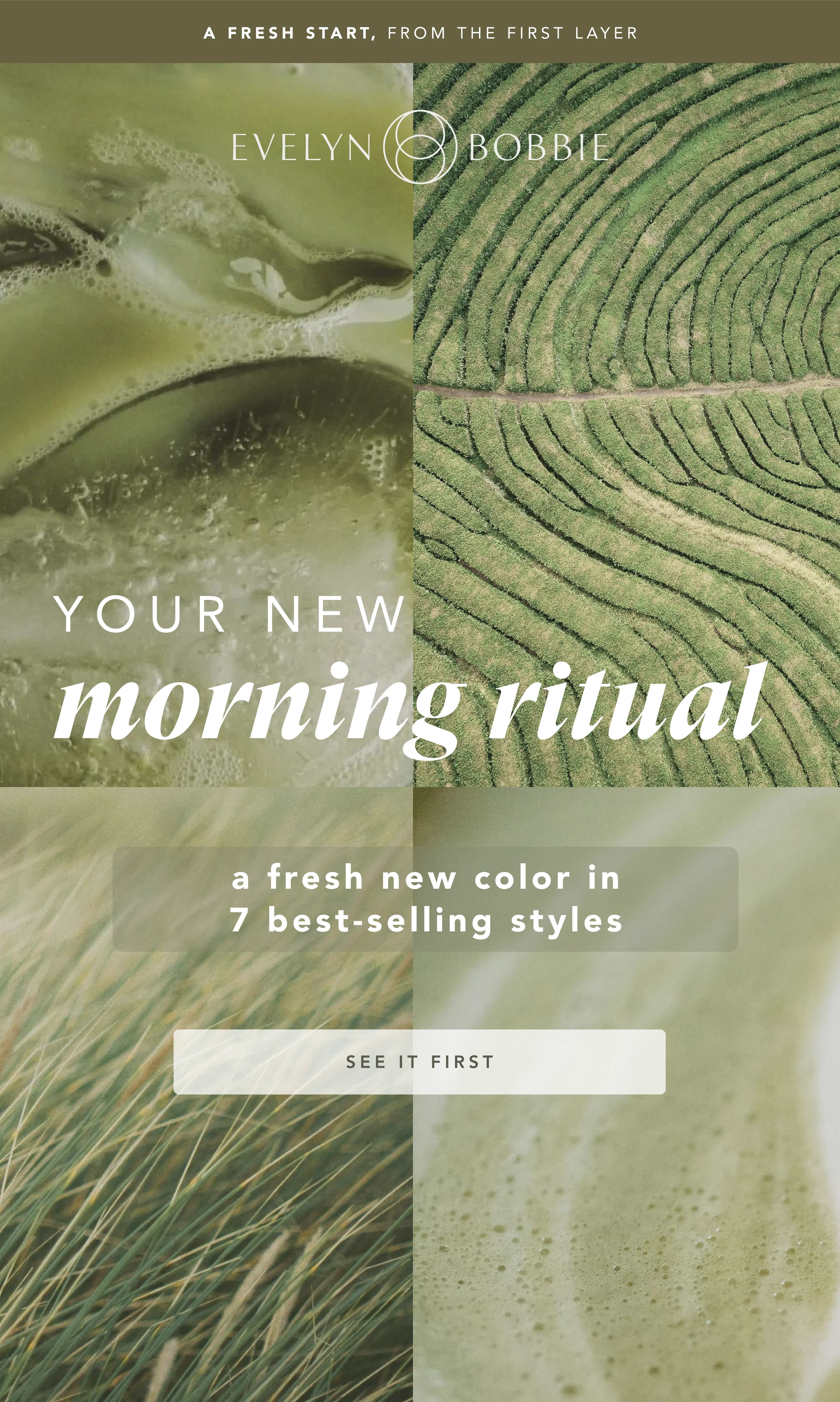 Matcha-Teaser-Email.webp