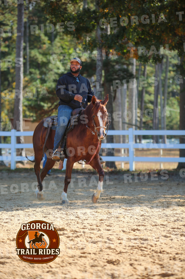Black Urban Cowboy Horseback Riding