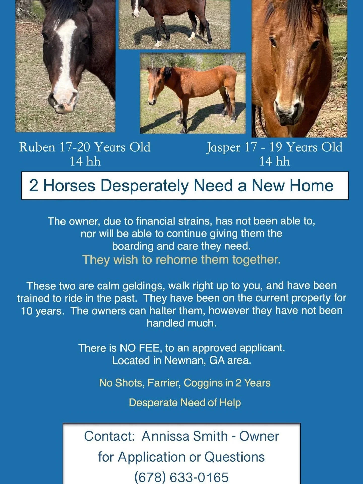 REHOMING NEEDED FOR 2 HORSES (NEWNAN)

These two are really nice horses.  Transportation is not provided, and experienced horse handler / trainer helpful to load. They have not been loaded in a while.

Contact the number on flyer for more information