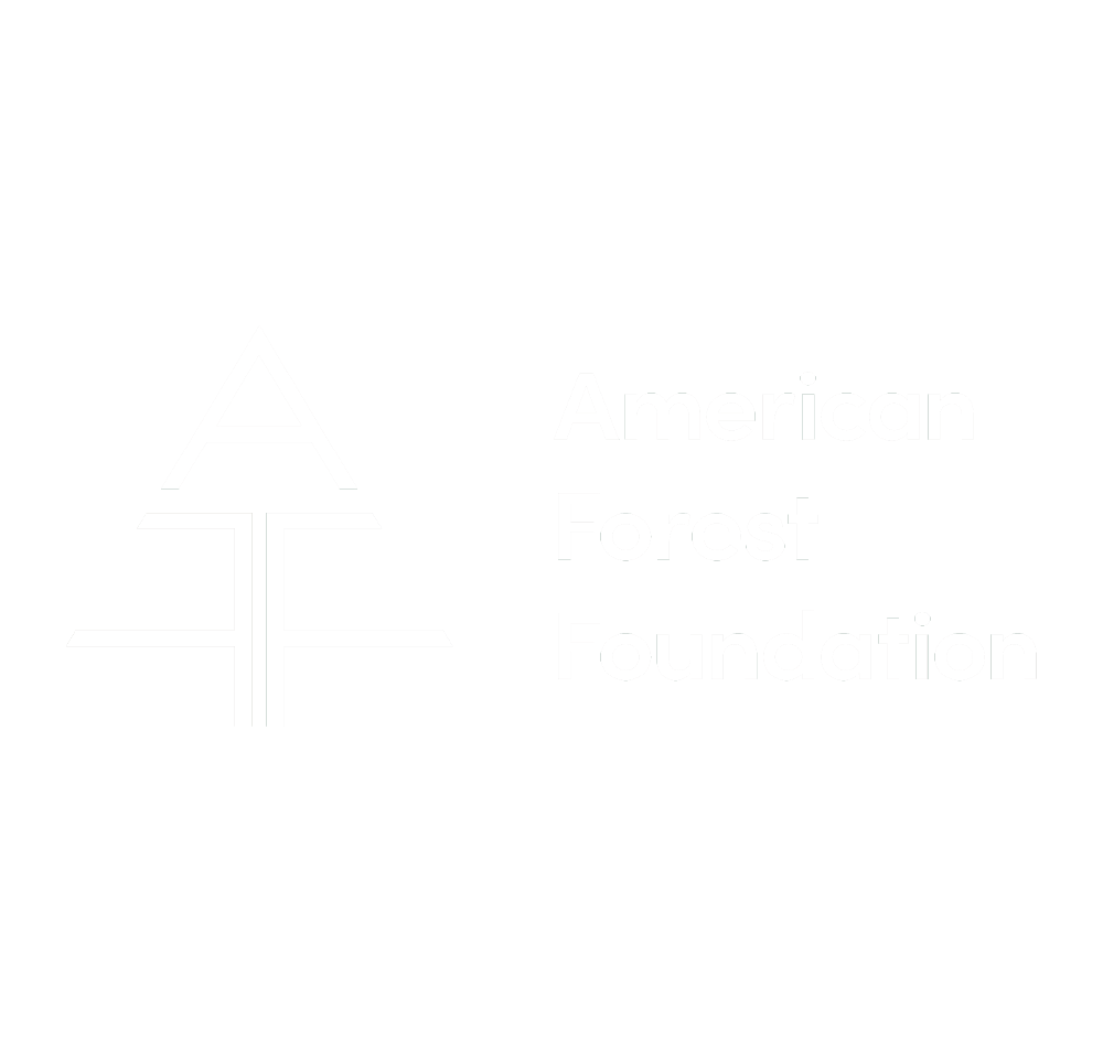 AFF Logo.png