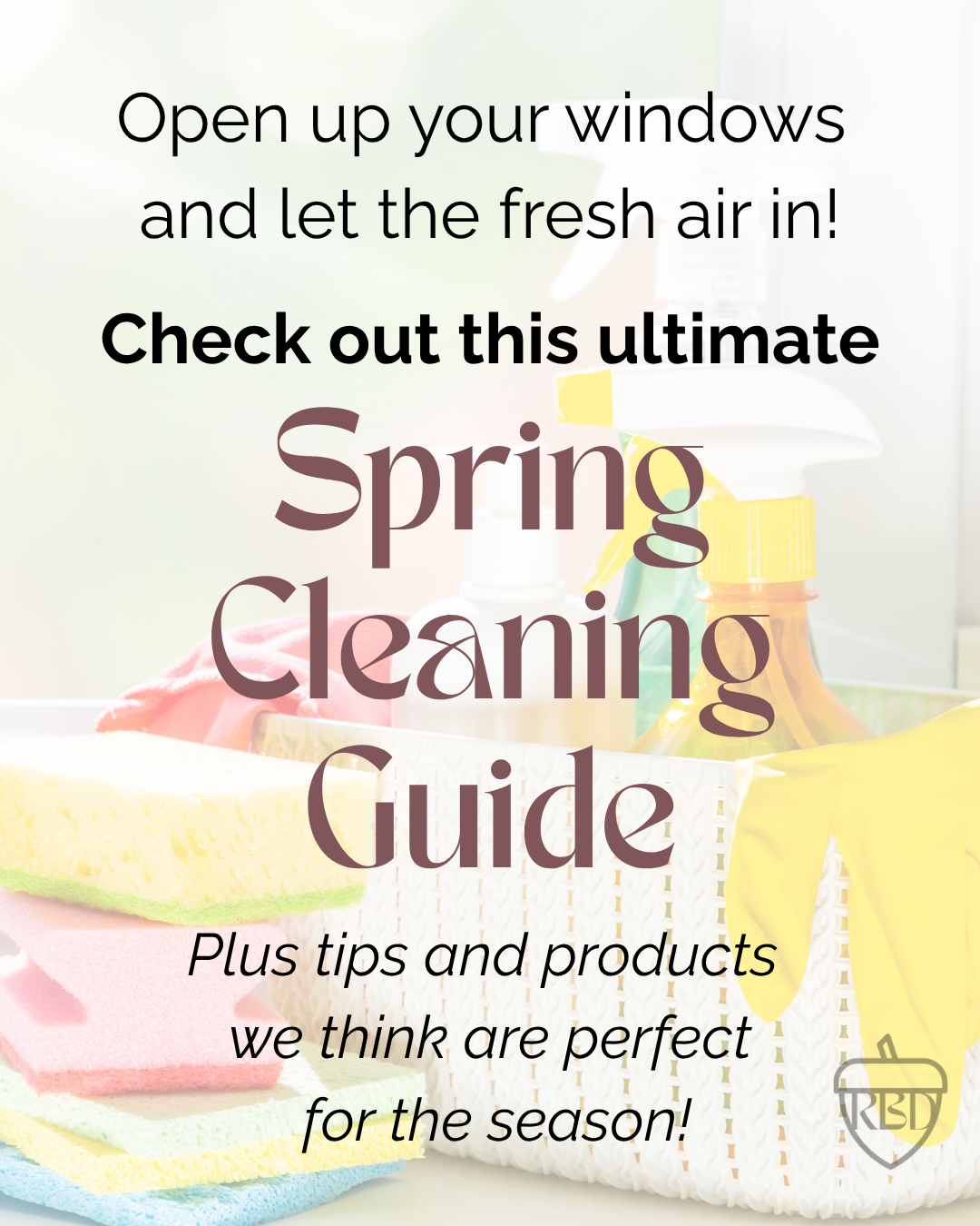 Spring Cleaning Guide