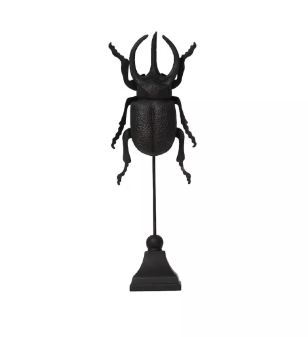 rhinobeetle.png