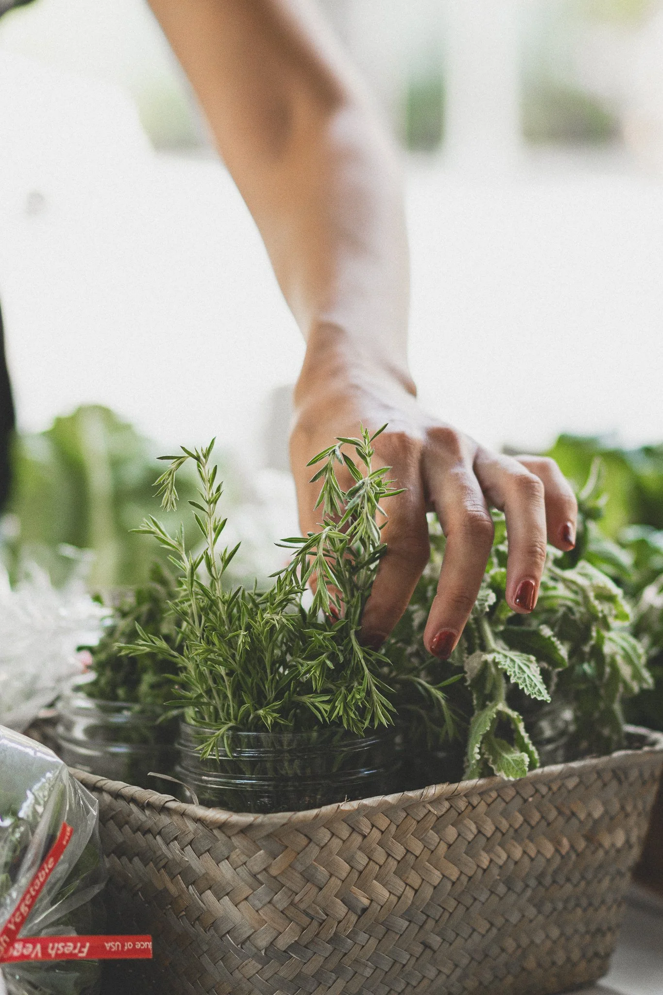 Hand picking fresh herbs from basket