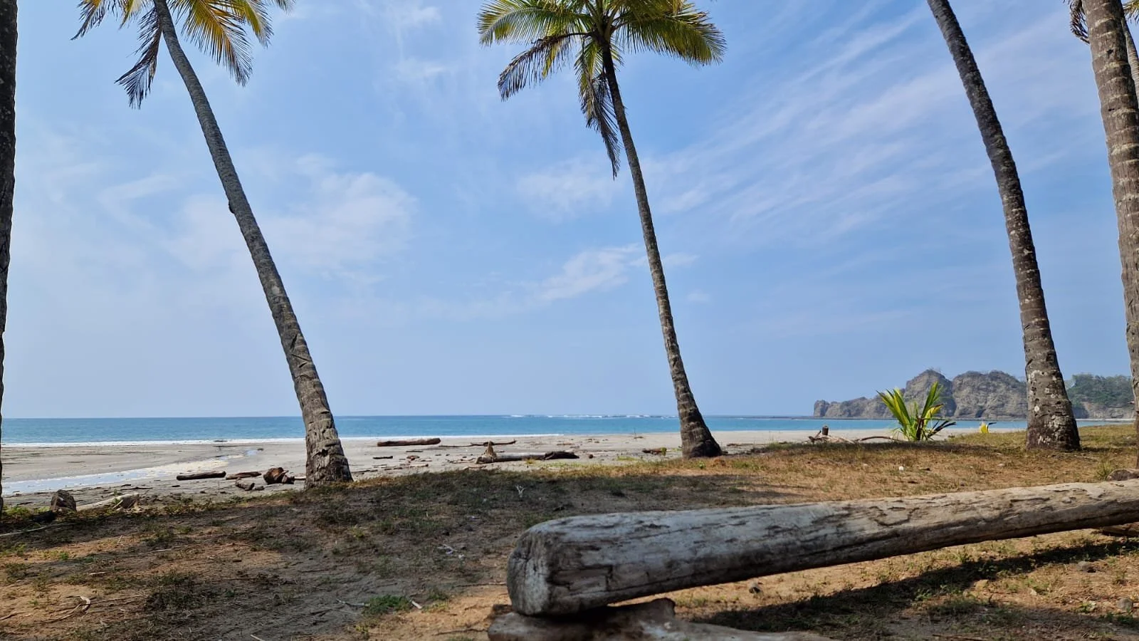 Playa Carrillo Palms.jpg