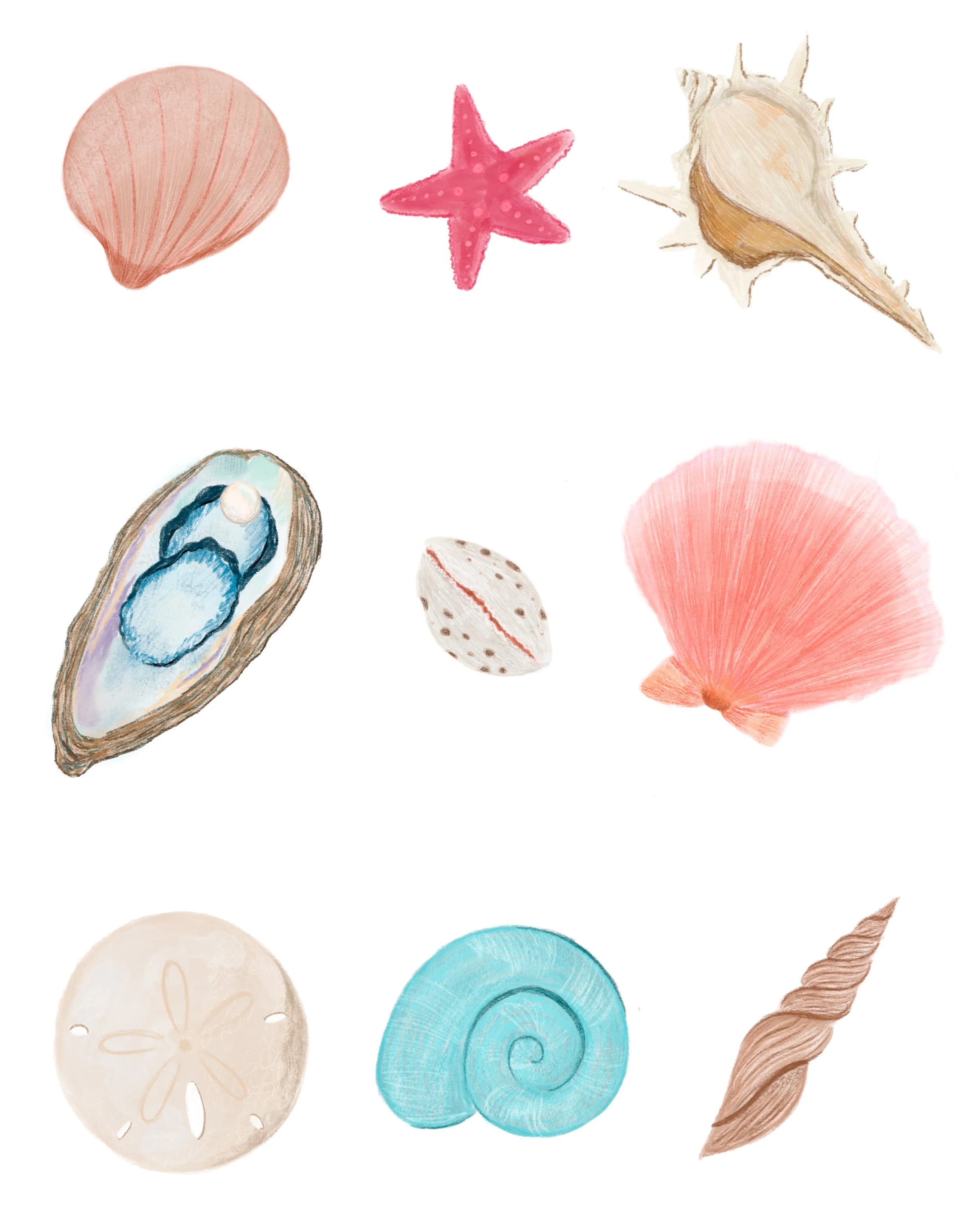 shell print 8x10.jpg
