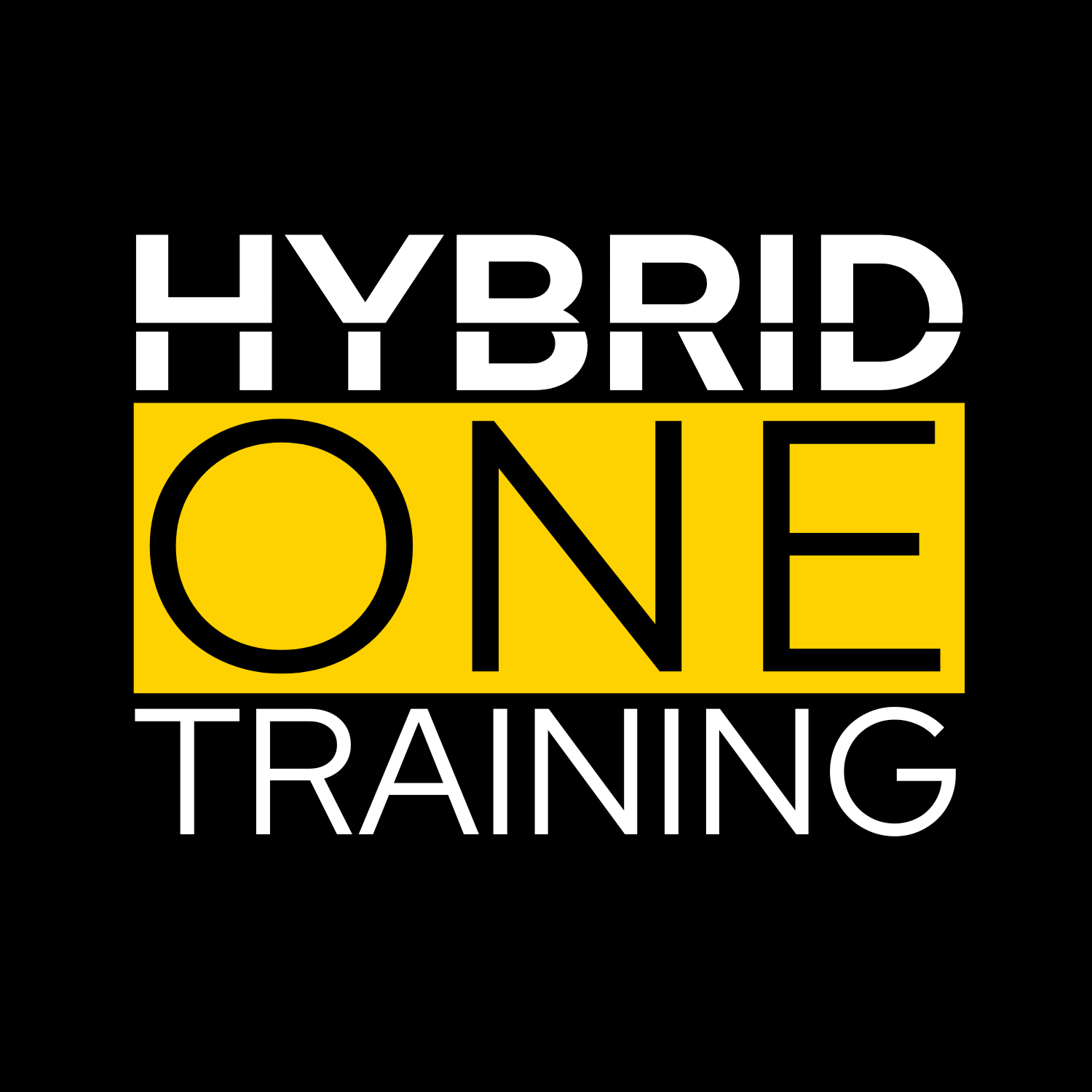 Hybrid One Training