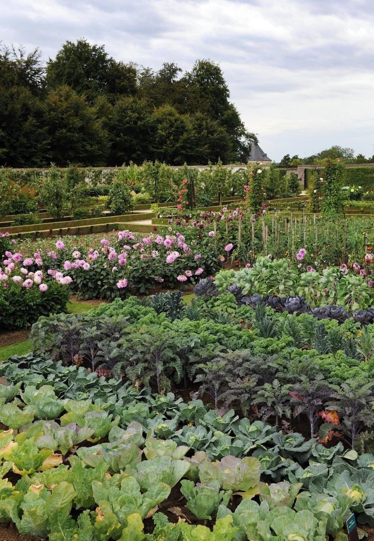 sustainable-food-farm-dc-maryland-virginia-18