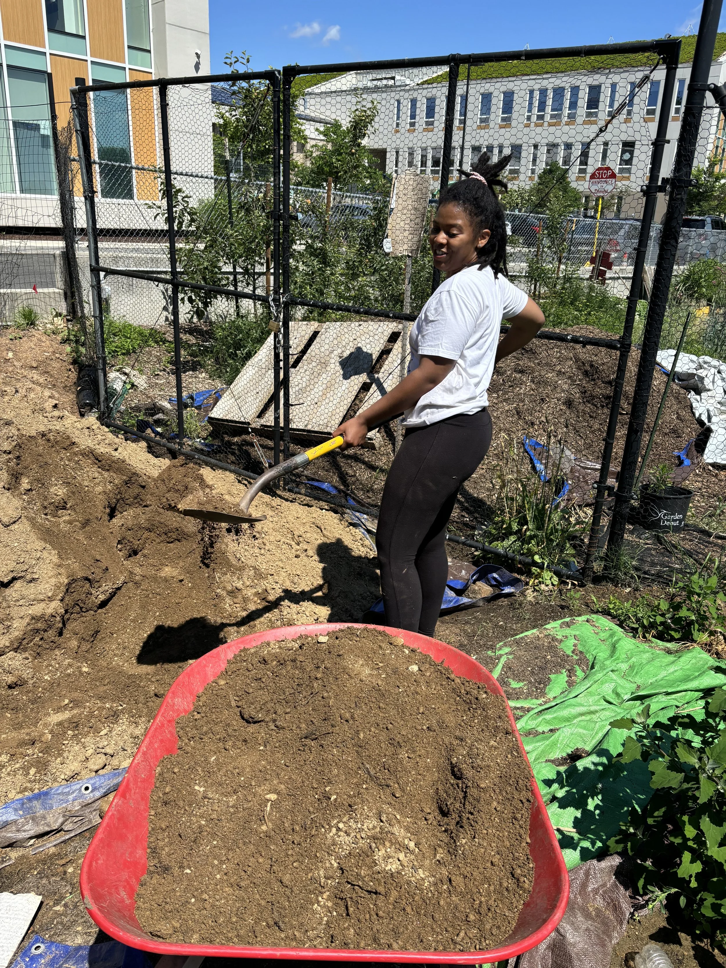 sustainable-food-farm-dc-maryland-virginia-8