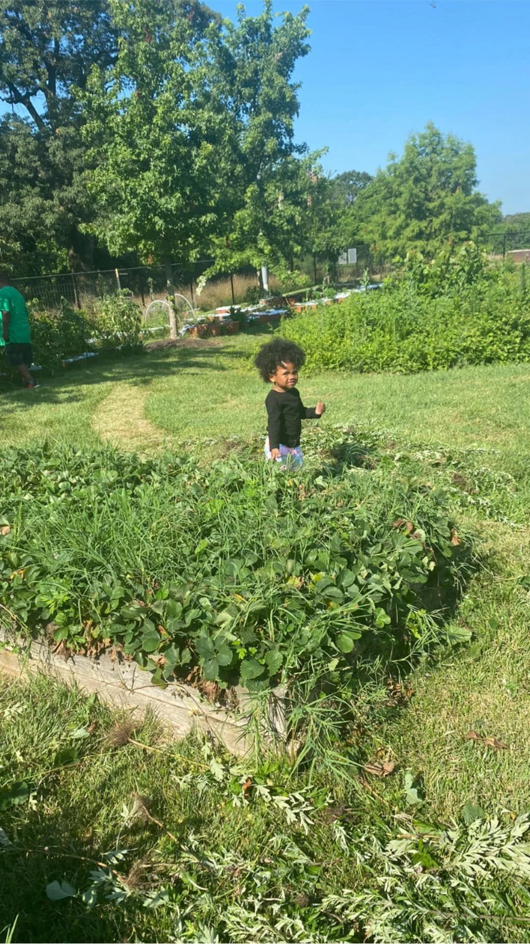 sustainable-food-farm-dc-maryland-virginia-1