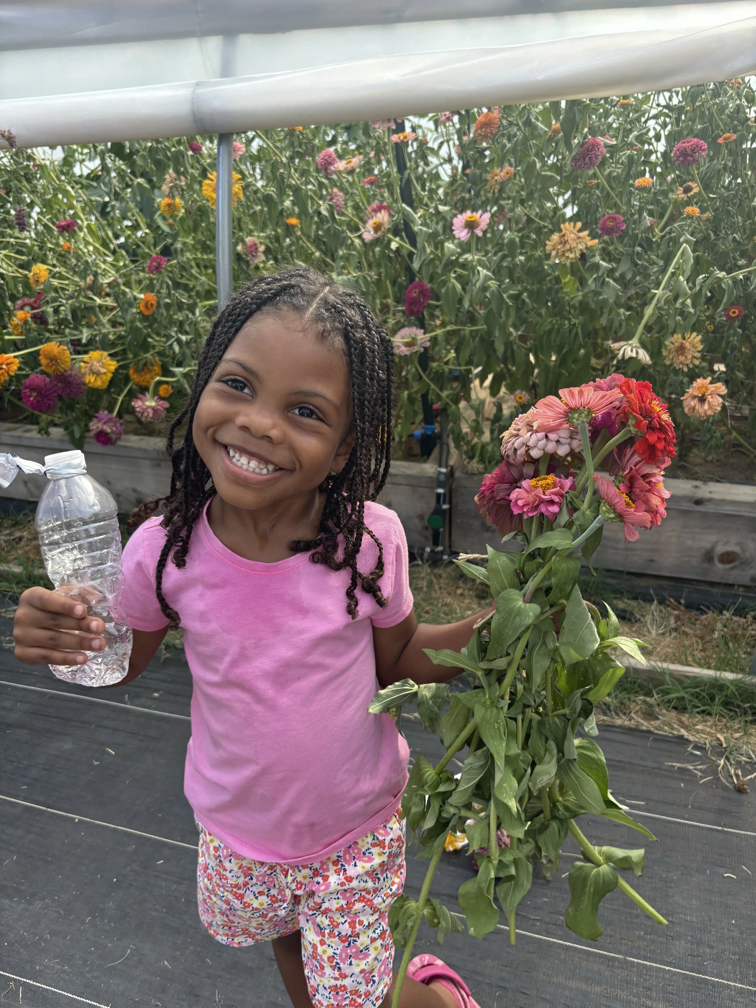 sustainable-food-farm-dc-maryland-virginia-13