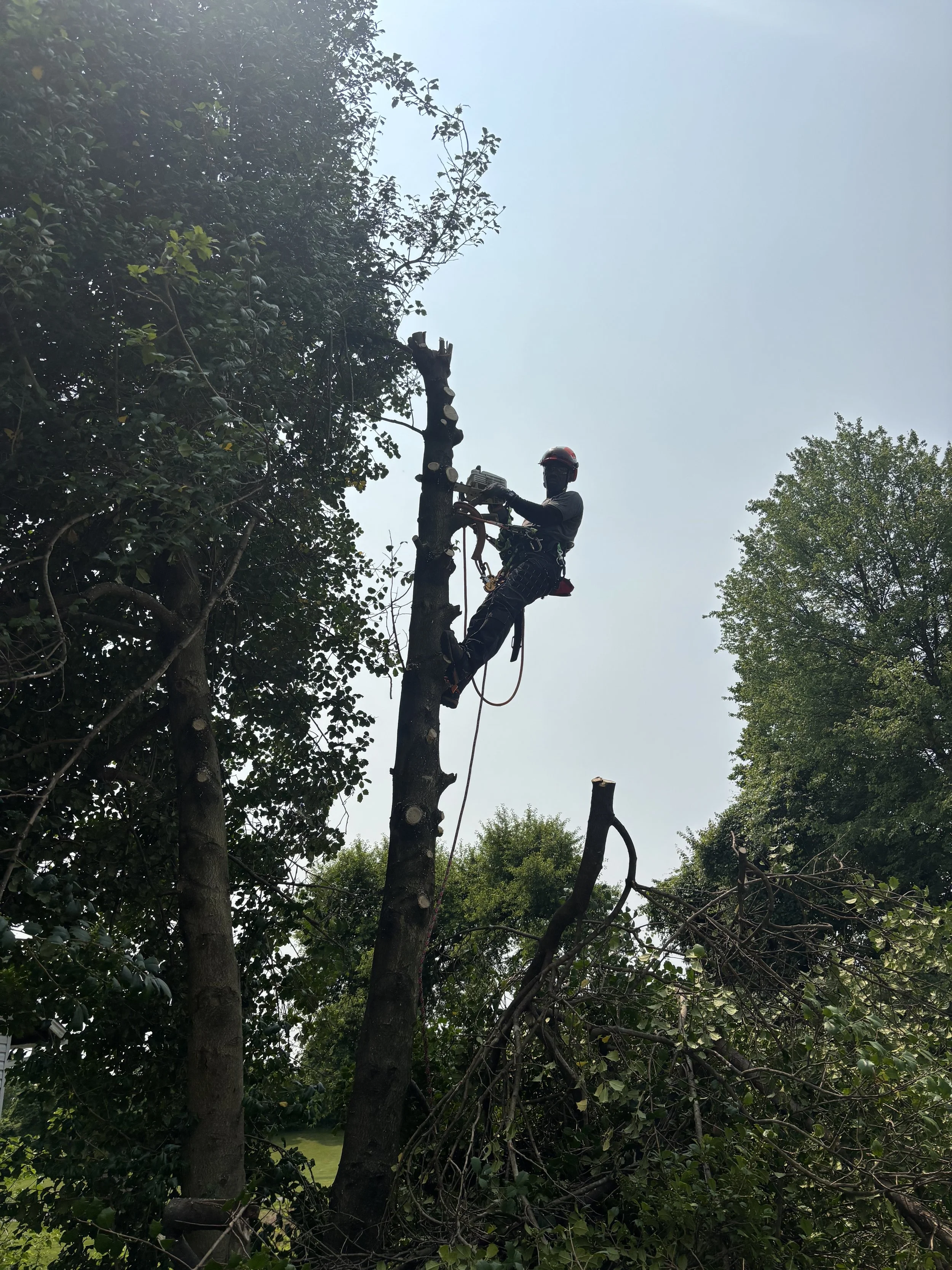 sustainable-food-farm-dc-maryland-virginia-9