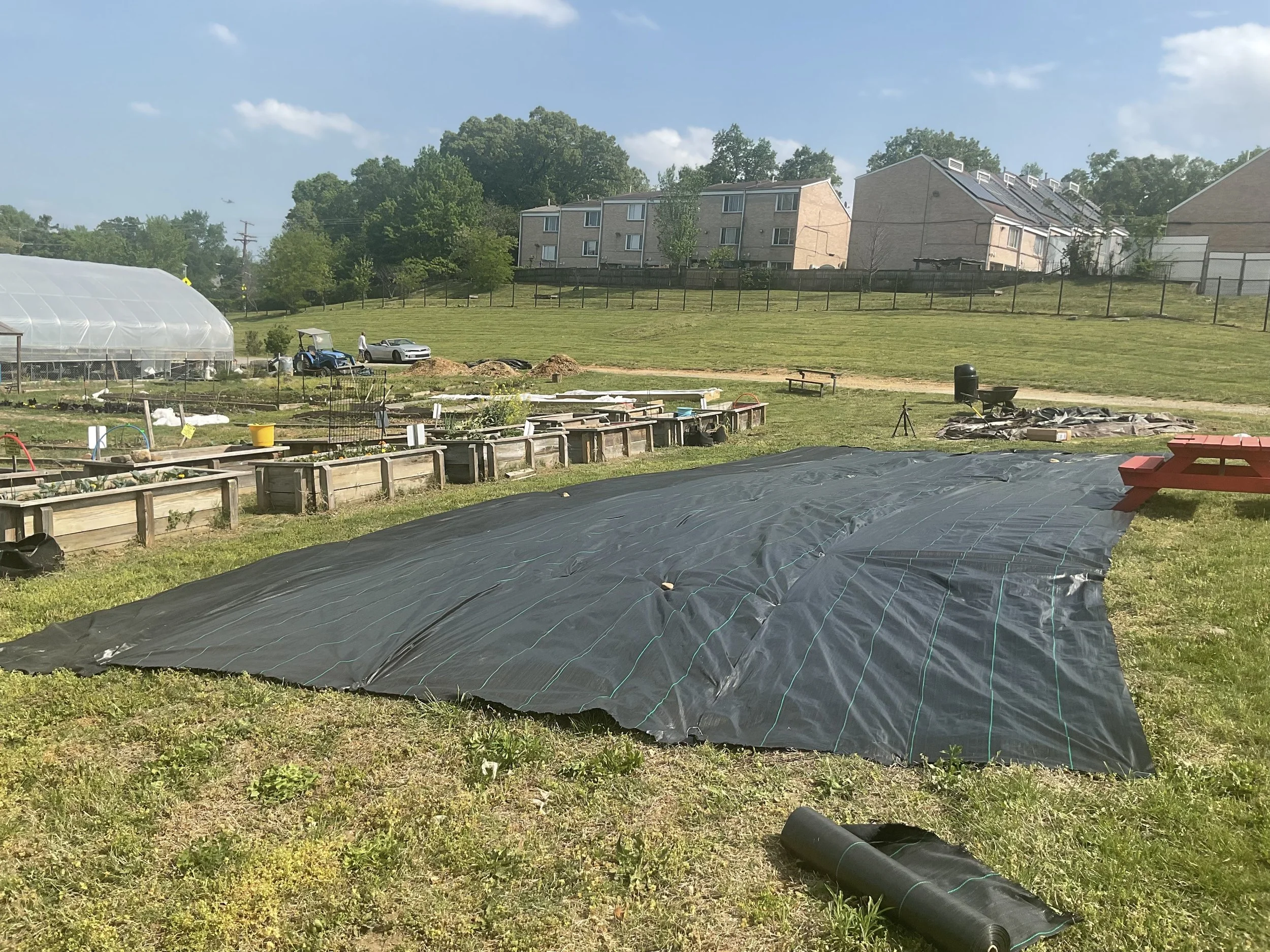 sustainable-food-farm-dc-maryland-virginia-3