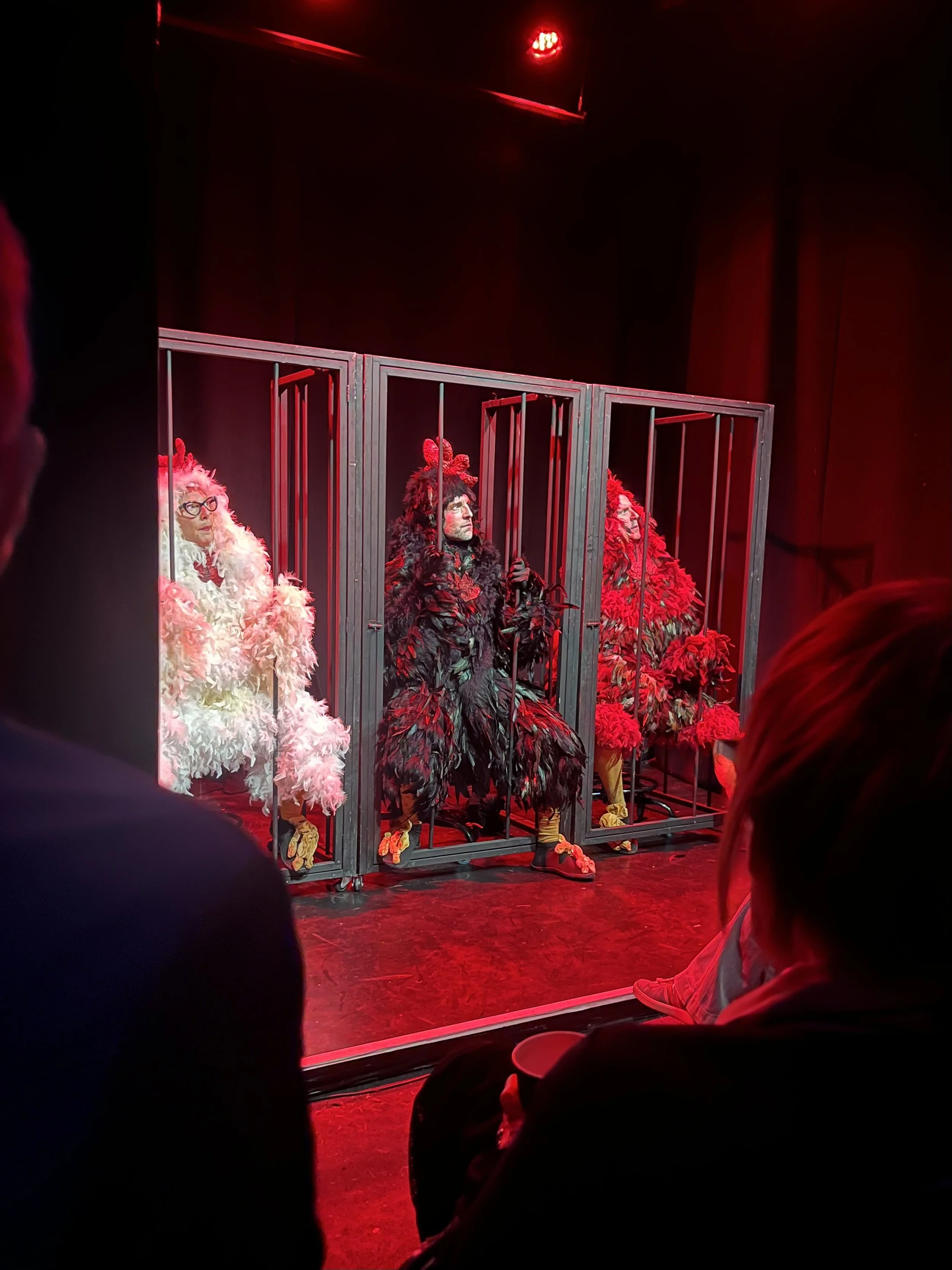 3 Chickens Audrey Rapoport, Matthew DiLoreto, Eric Kirchberger on stage under red lights