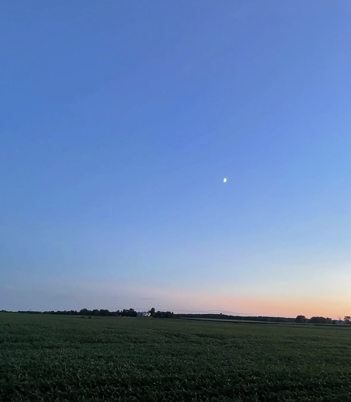 A wide expanse of farmland at dusk with a clear sky, a visible waxing crescent moon, and a hint of pinkish sunset near the horizon.