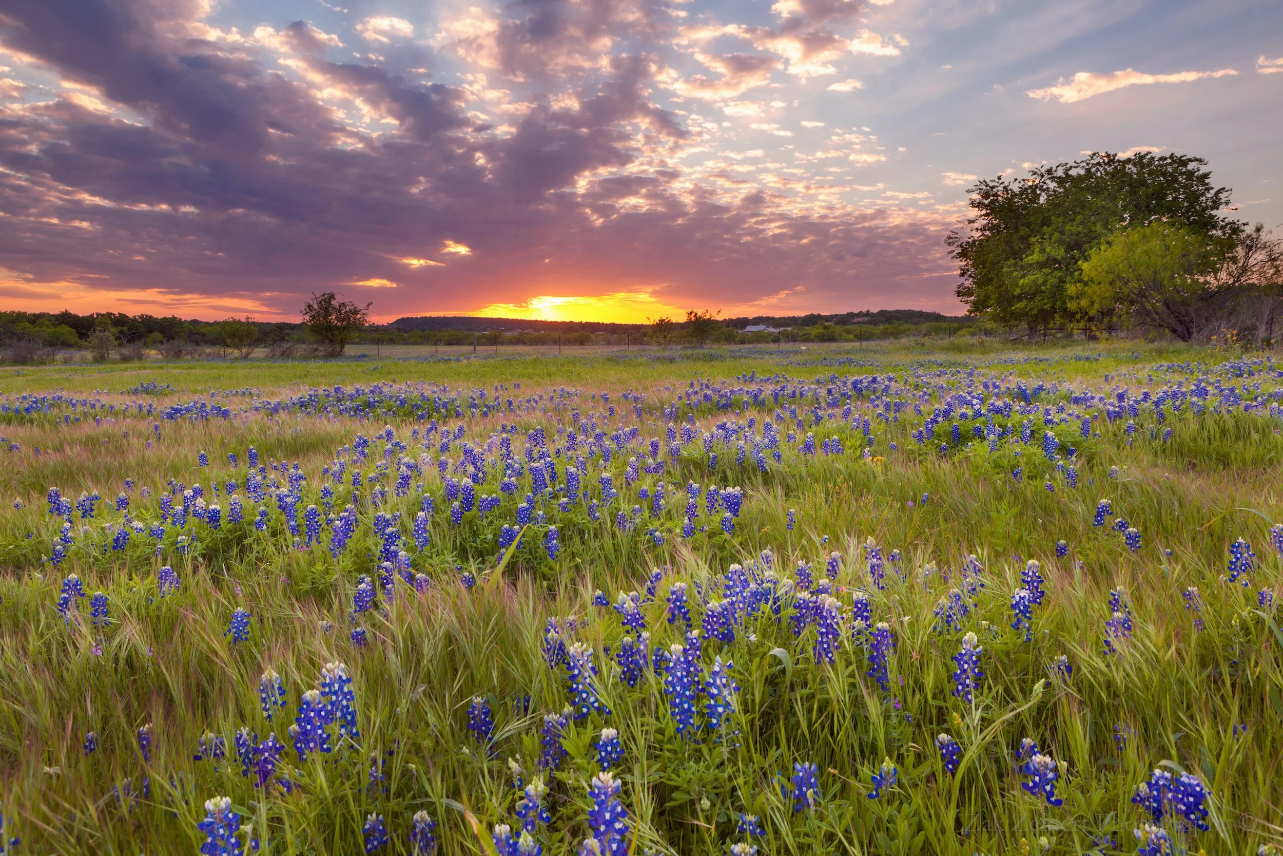 Eagle's Nest Village RV park in Goldthwaite, TX (photo 1)