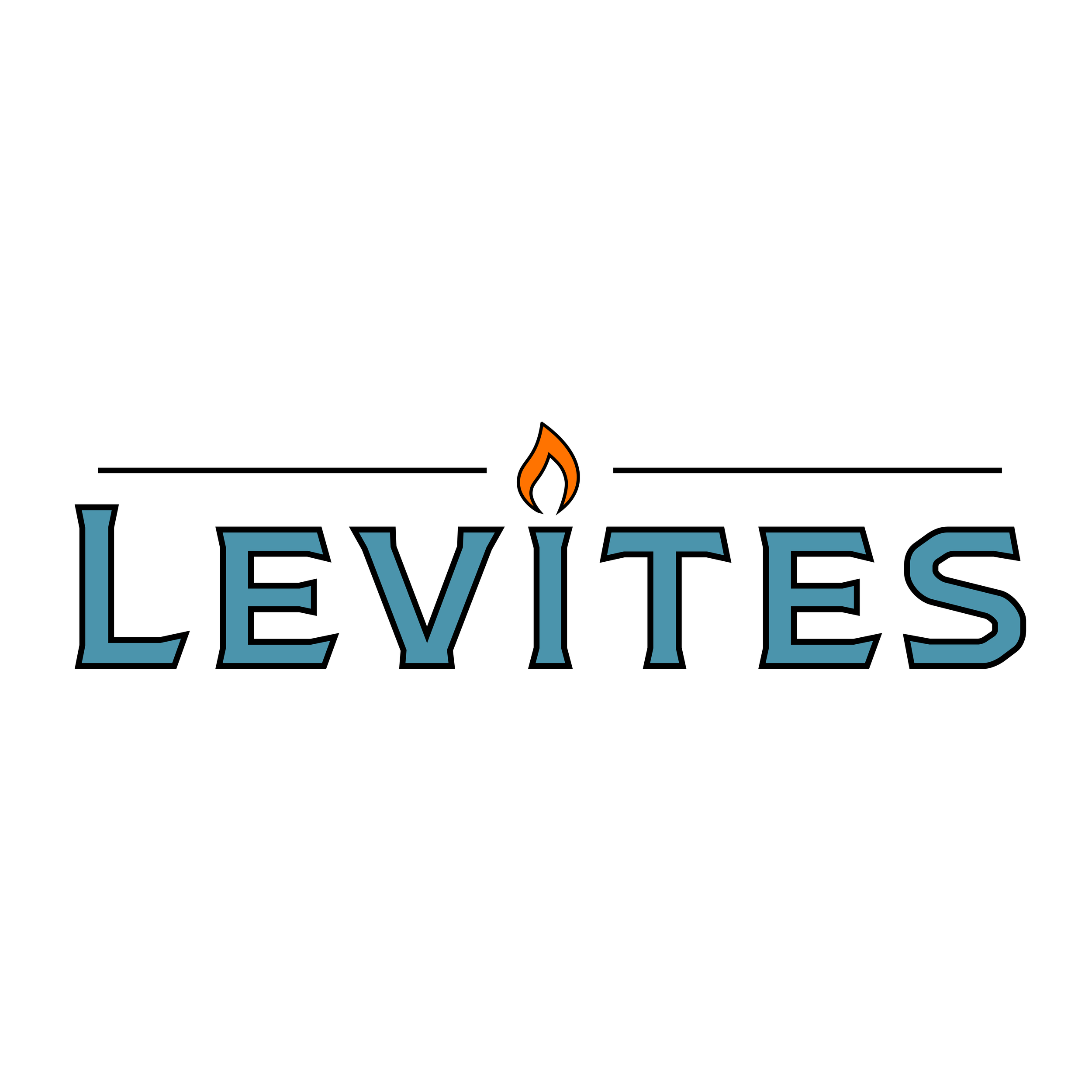 A logo with a heartbeat line split in two colors, a cross in the center, and the word "Levites" below.